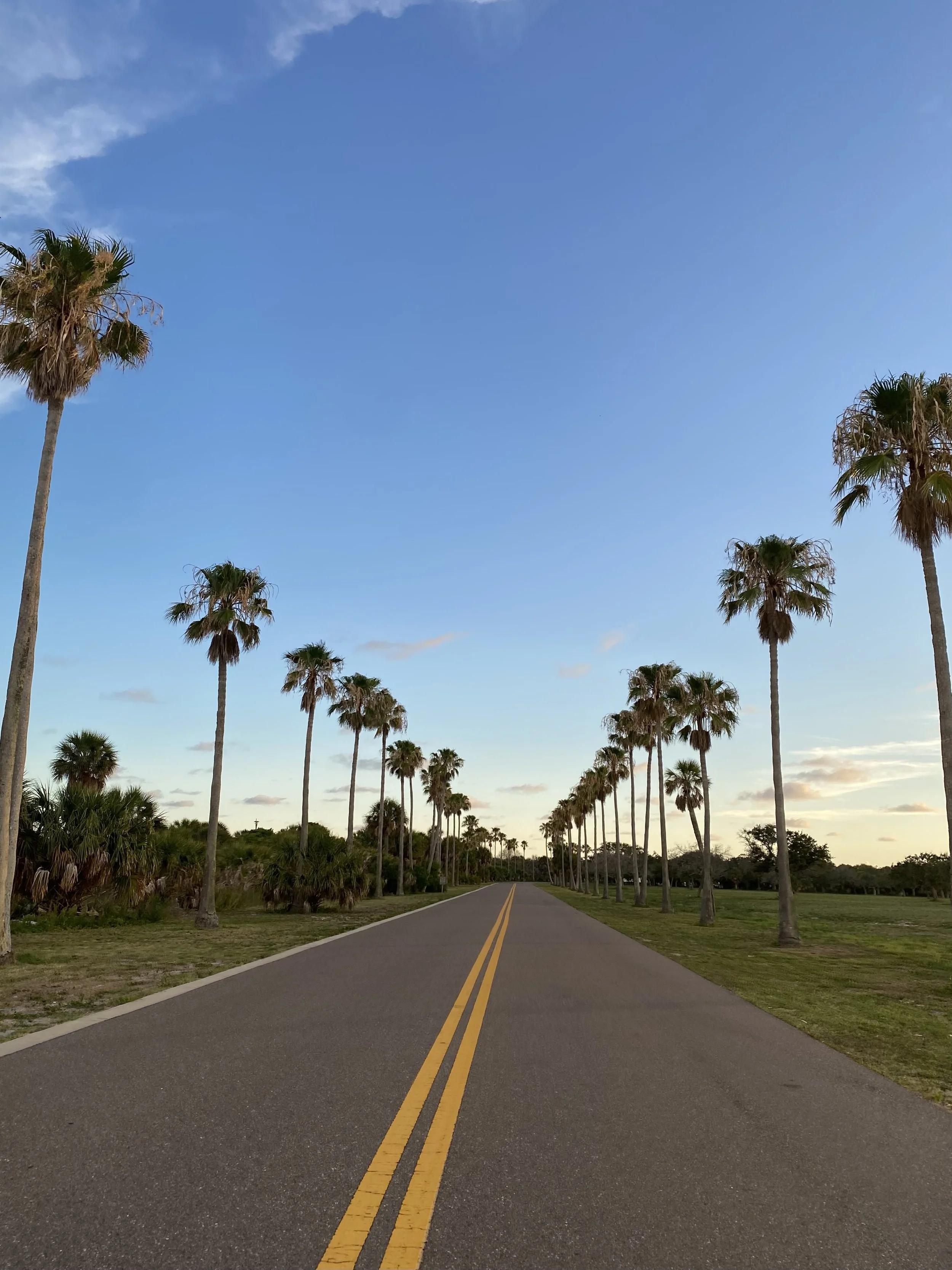 A straight road lined with tall palm trees on both sides under a partly cloudy sky during sunset or sunrise.