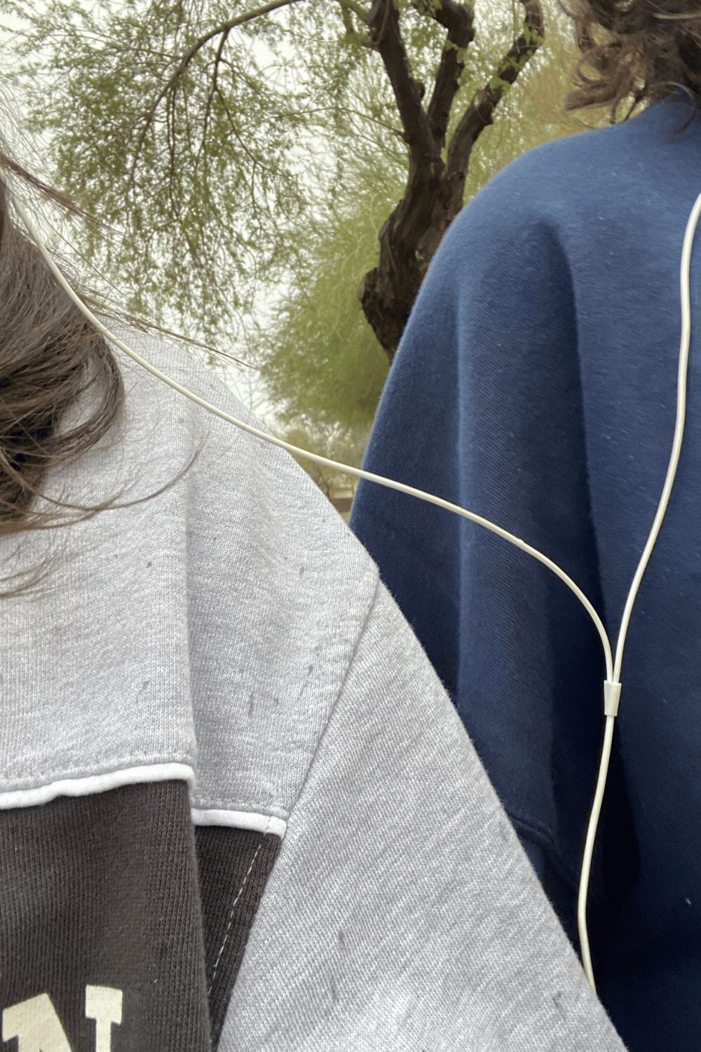 Close-up of two people walking near a body of water, with trees reflected in the water. One person is wearing a light gray and black hoodie, and the other person is wearing a blue sweatshirt with earbuds.