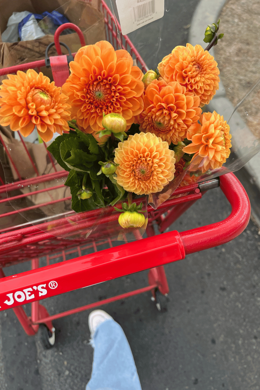 Bouquet of orange dahlias in a shopping cart at Trader Joe's, with a gray pavement background.