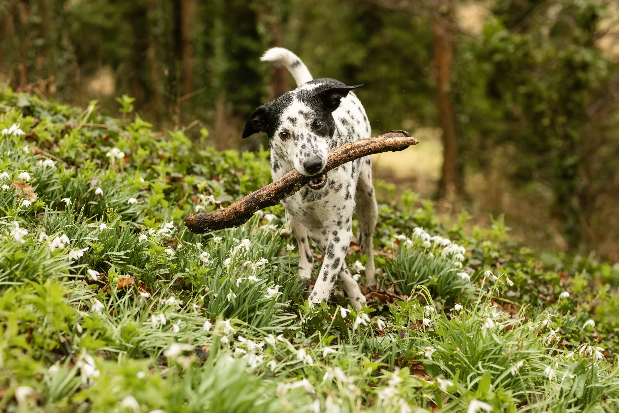 AE6A0080-Enhanced-NR-2 copy.jpg