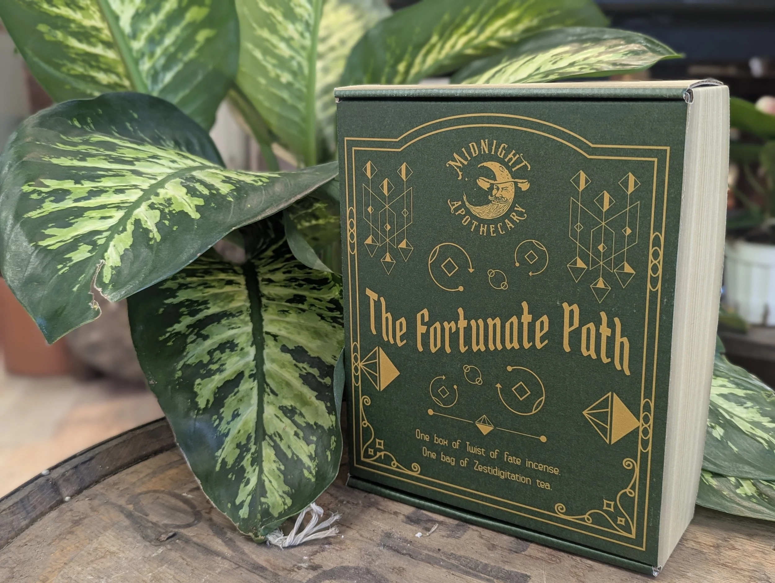 fortunate path.jpg