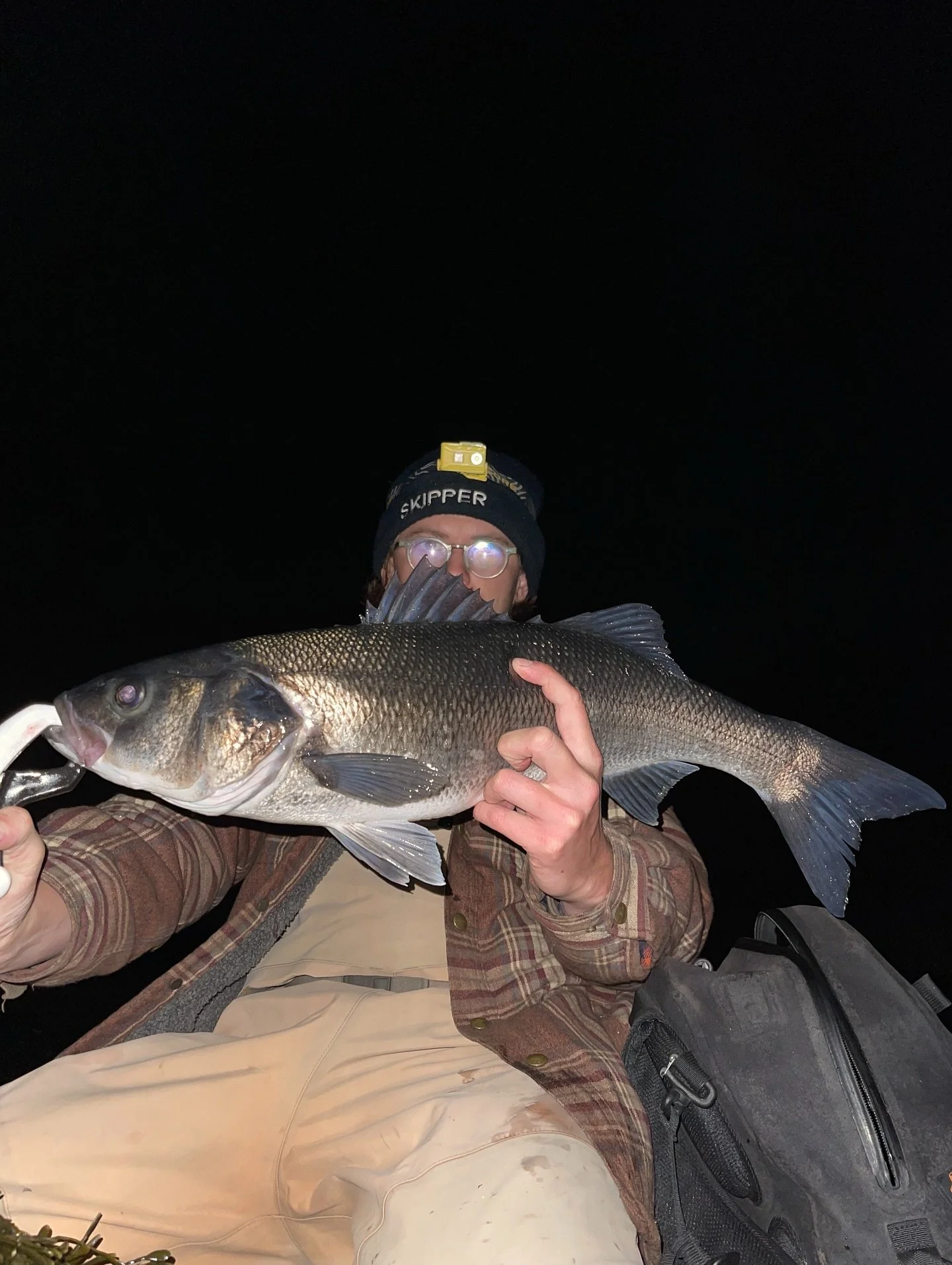 What a weekend, #cornwalllurefestival 2025.
An interesting year, with more fish in the 60cm range caught this year across the entrants, but no 70! 

With only nights to play with this year I played to my strengths and hung out at my old favourite hau