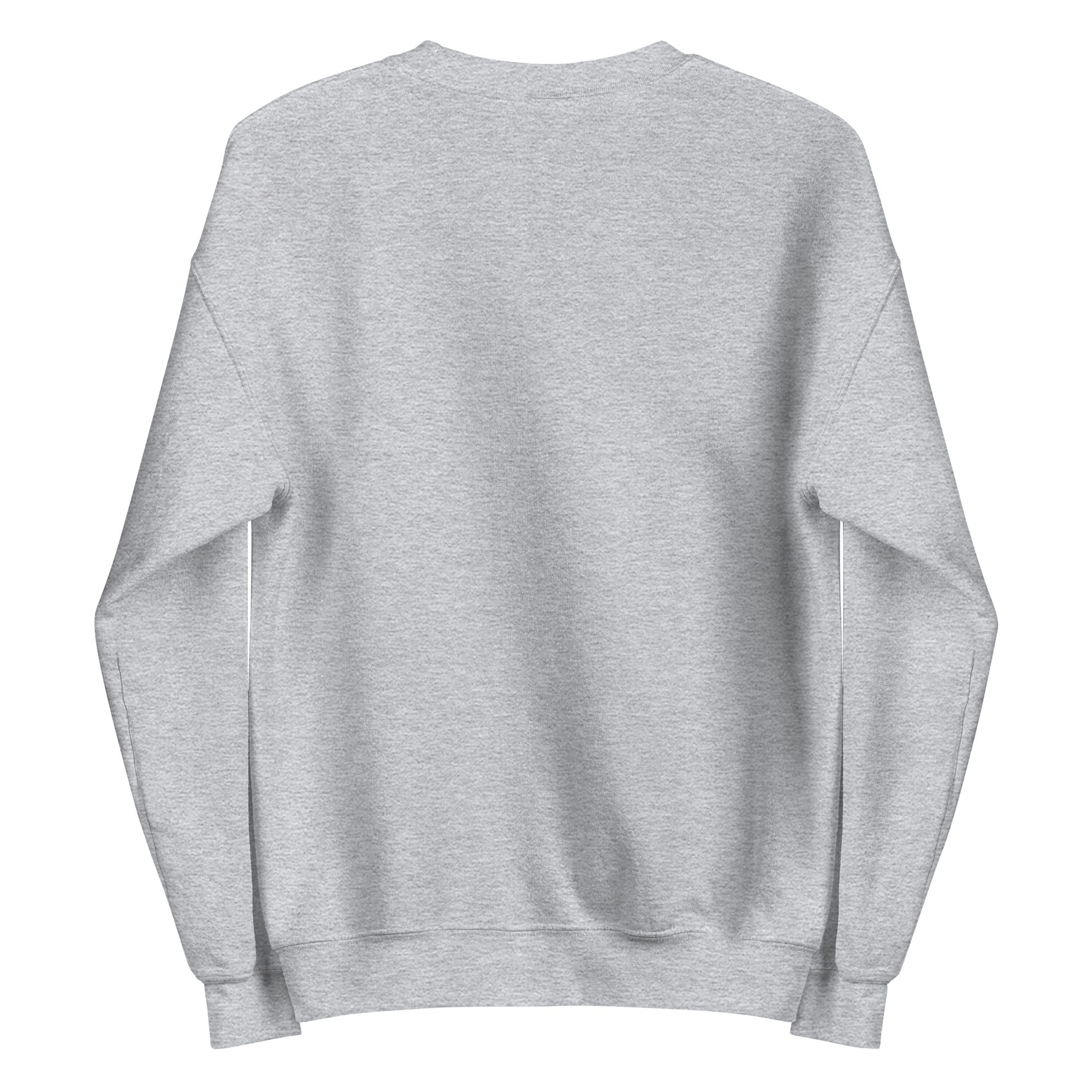 Sweatshirt Sport Grey 2.png