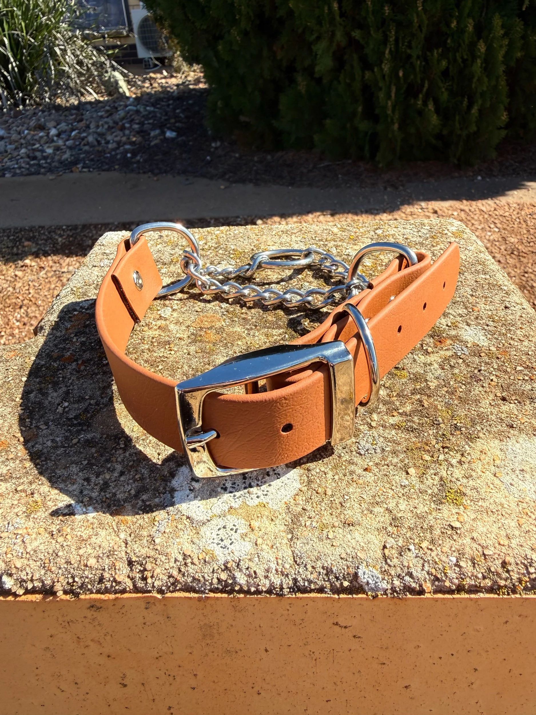 Adjustable Biothane Martingale Collar - 1inch Wide (25mm)