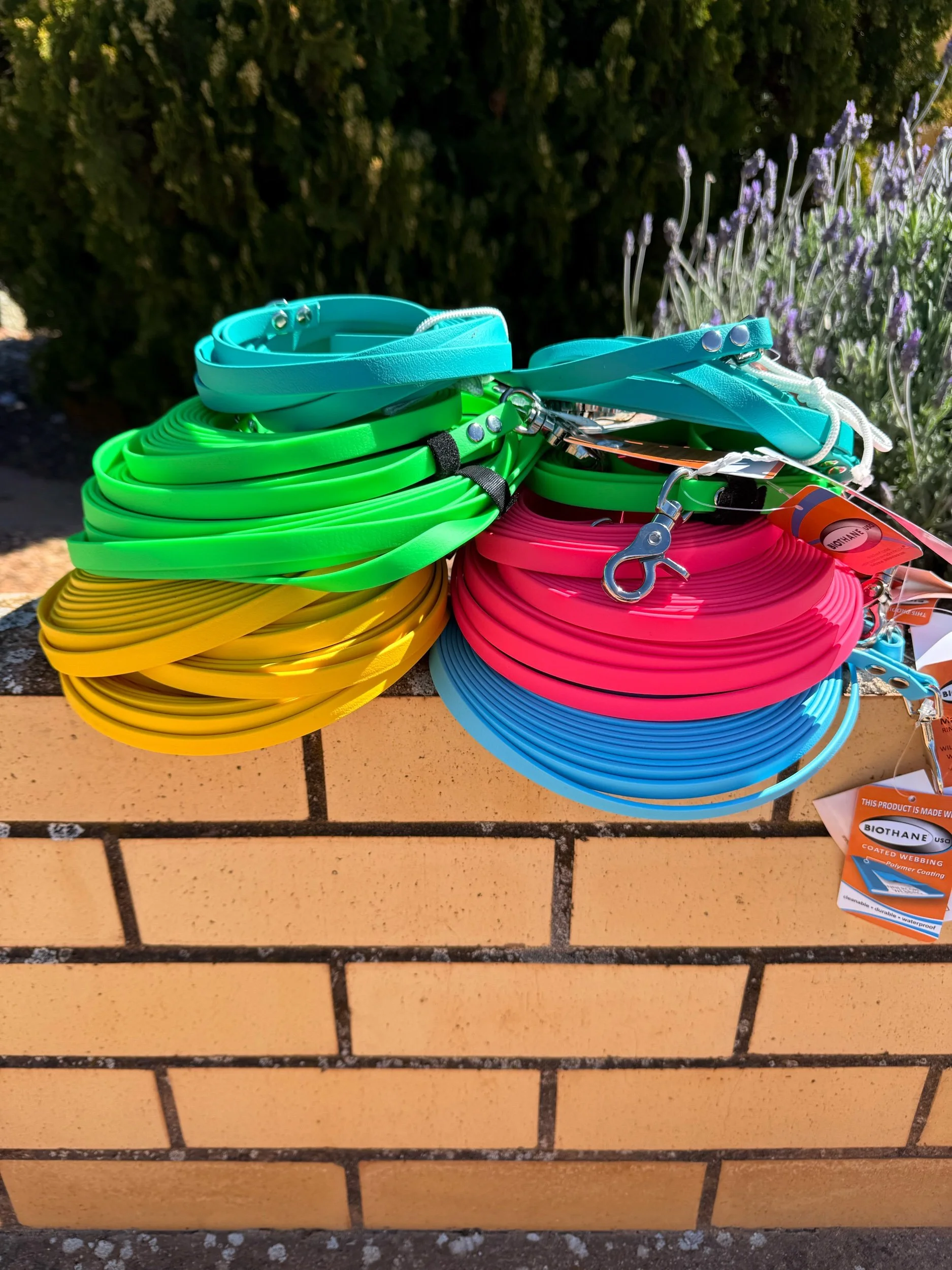 Biothane Long Line - 1/2 Inch Wide (13mm)