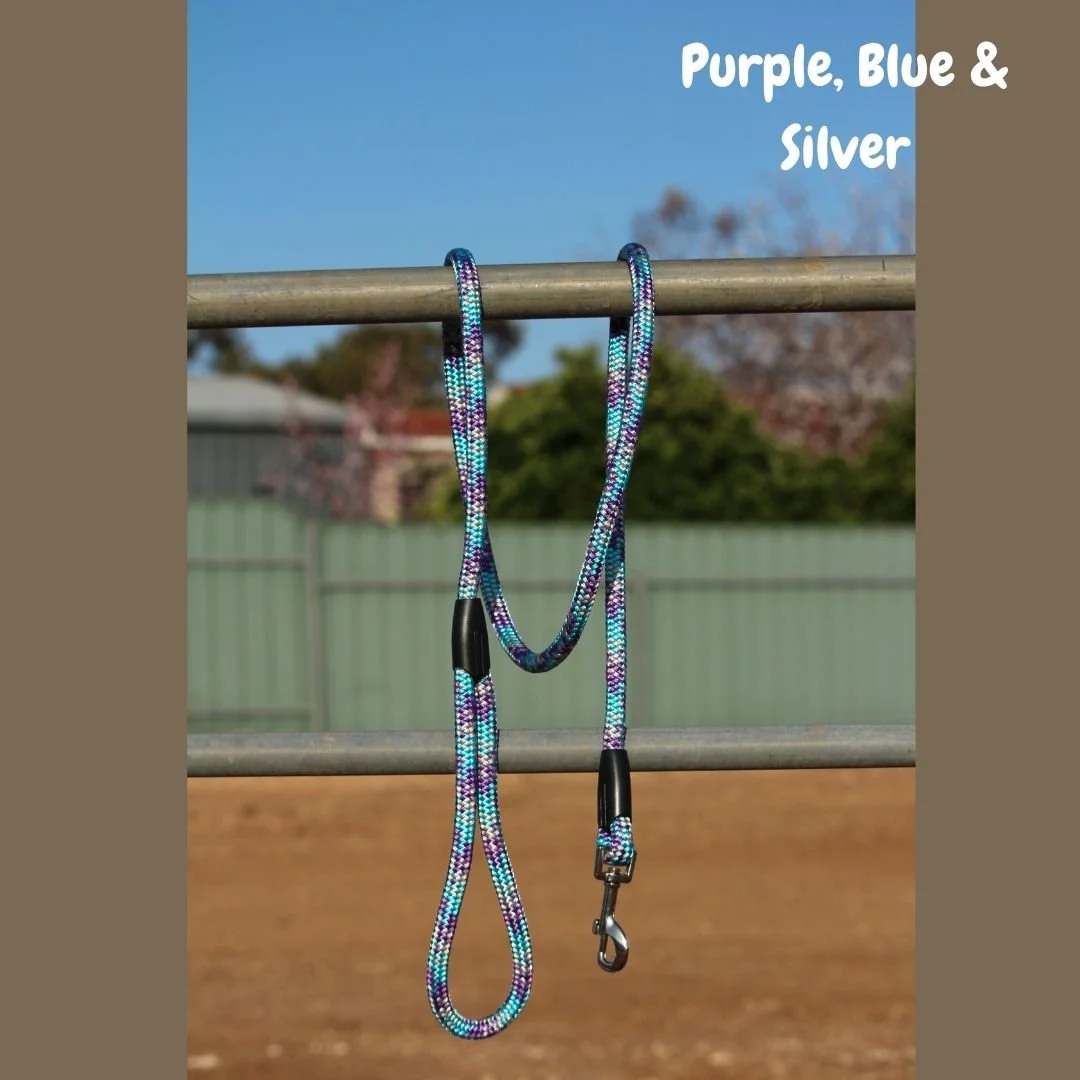 Rope Lead - Purple, Blue & Silver