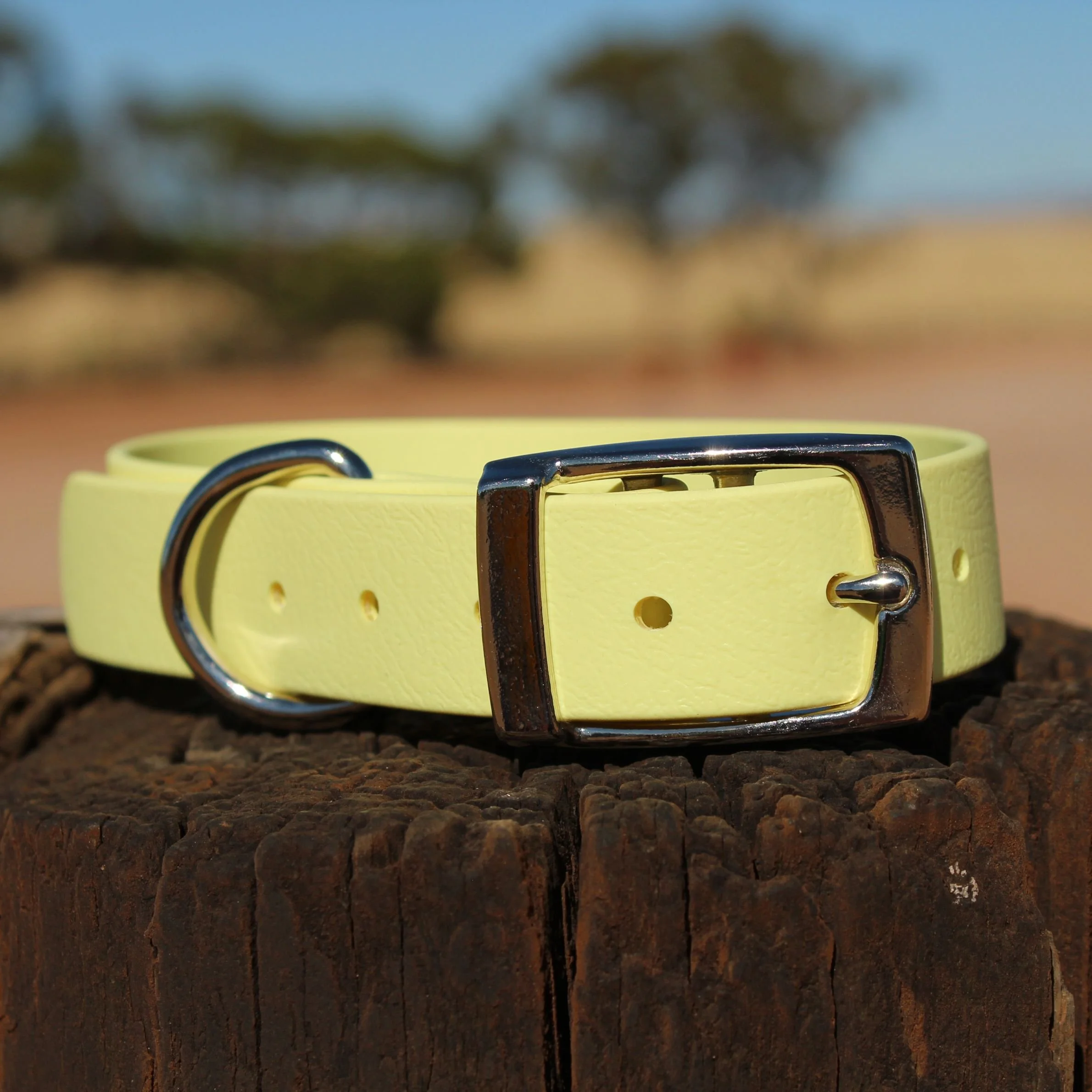 Premade Pastel Yellow Biothane Collar - Size Medium
