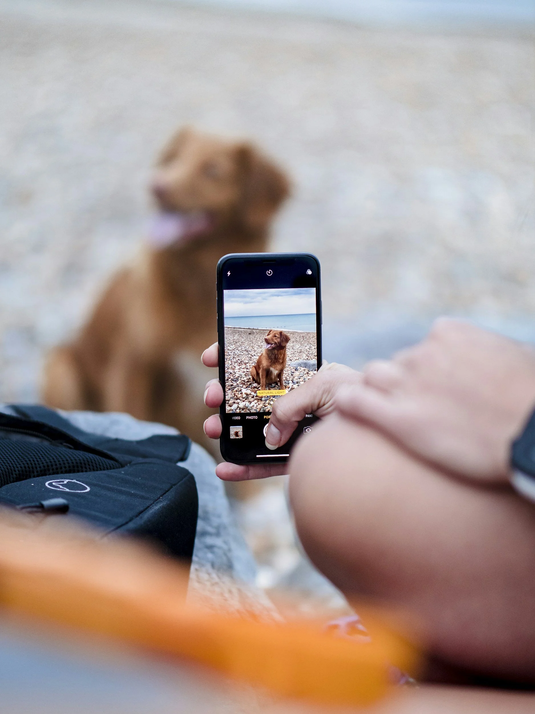 Persoon die een foto maakt van een hond op het strand met een smartphone, met de hond op de achtergrond.