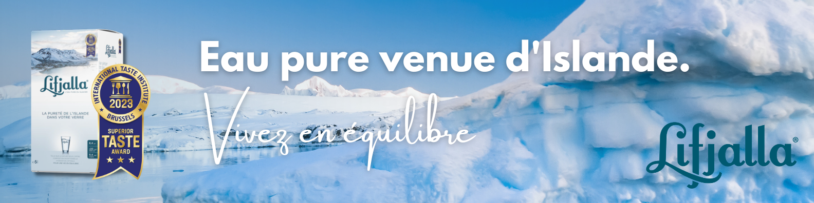 Blue Modern Cyber Security Technology Linkedin Banner  fr.png