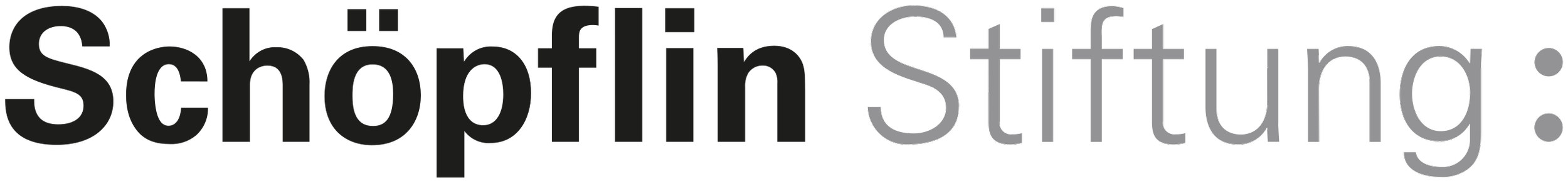 Schöpflin_Stiftung_logo.png