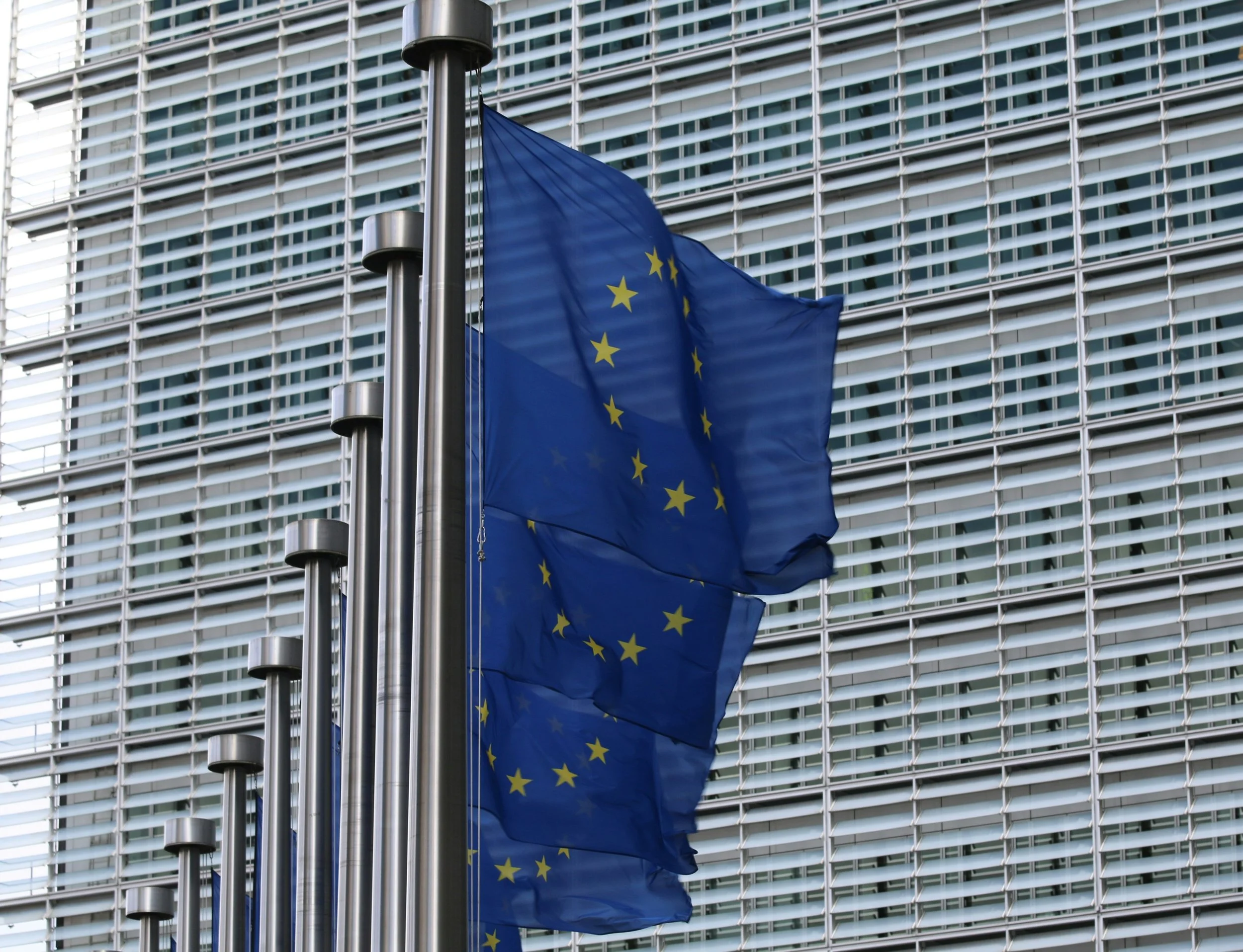 Balanced Economy Project submission to the European Commission on the Draft Merger Guidelines