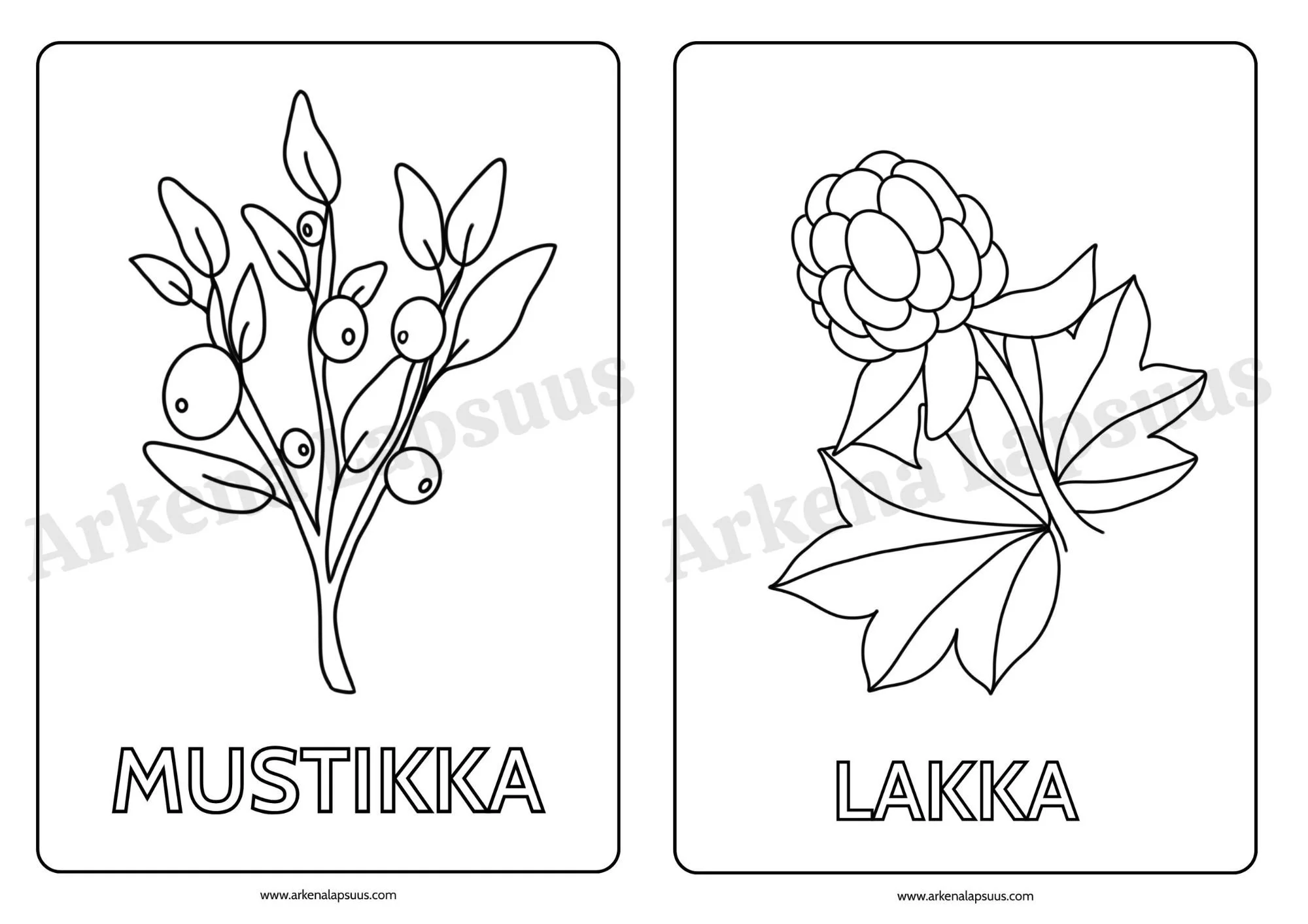 Ilmaiset värityskuvat lapsille aiheina mustikka ja lakka.