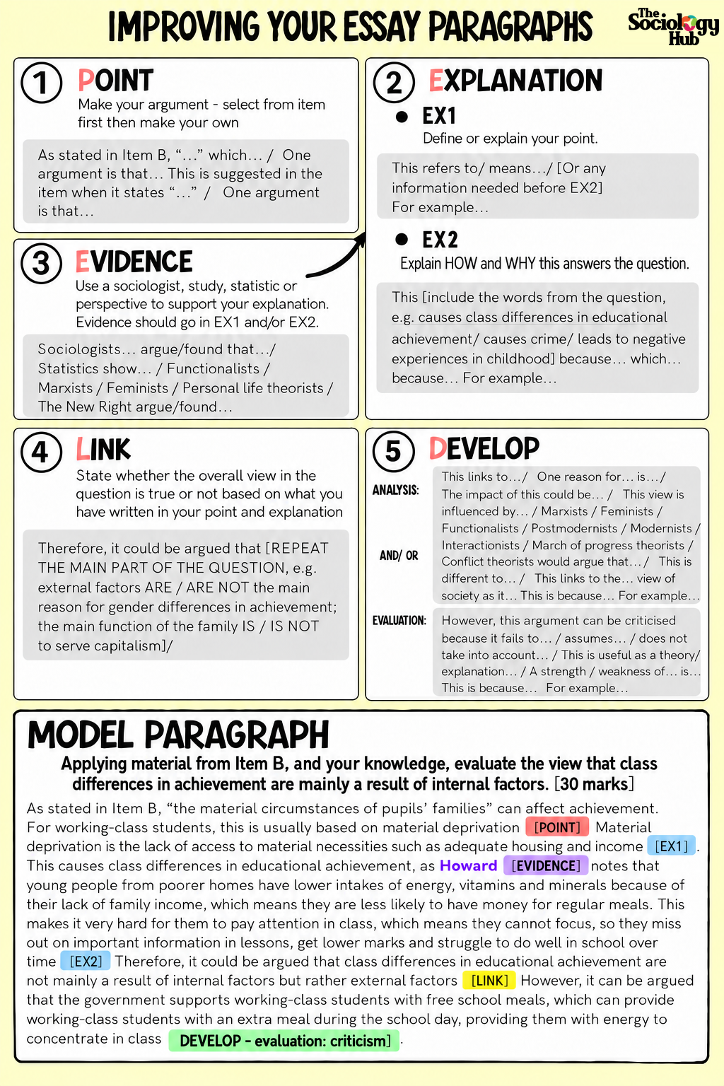 The Sociology Hub - Improving Essay Paragraphs .png