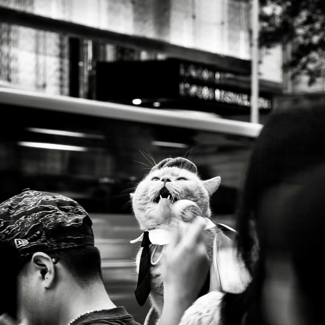 Ken Zhang