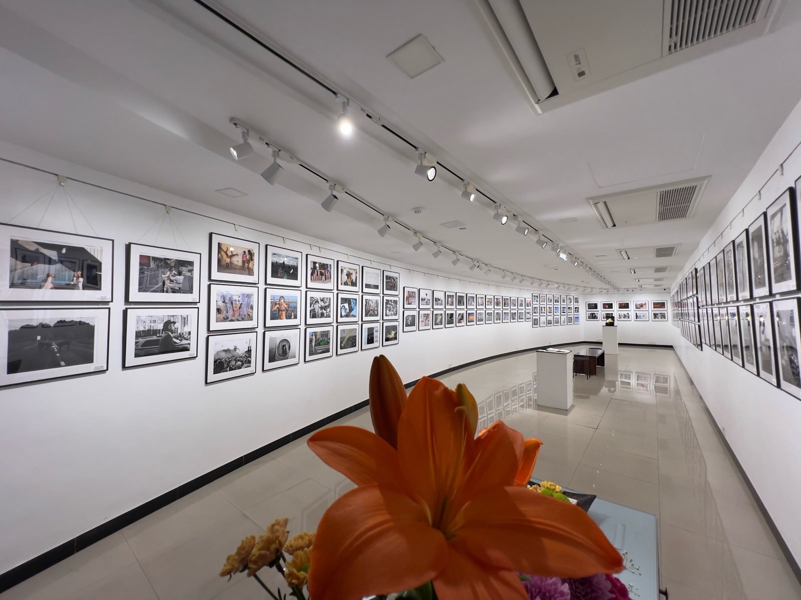 photography-exhibitionIMG_2500.jpeg