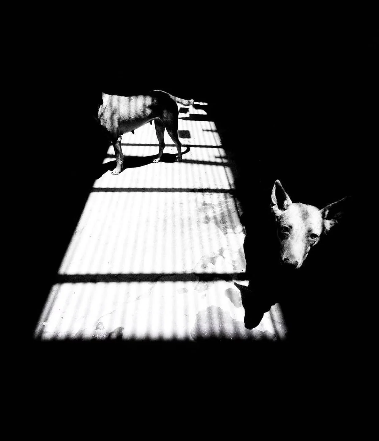 kamal kumaar rao photographer