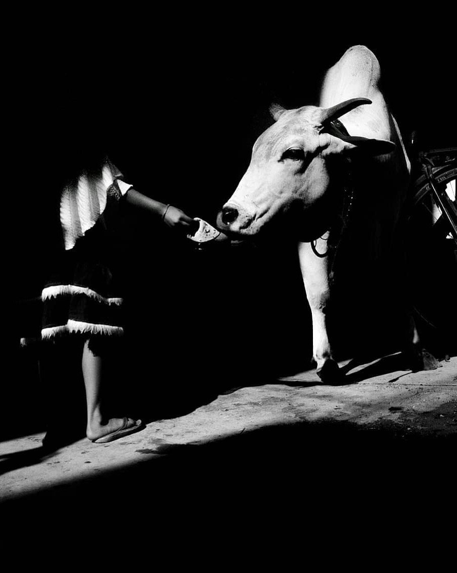 kamal kumaar rao photographer street photography
