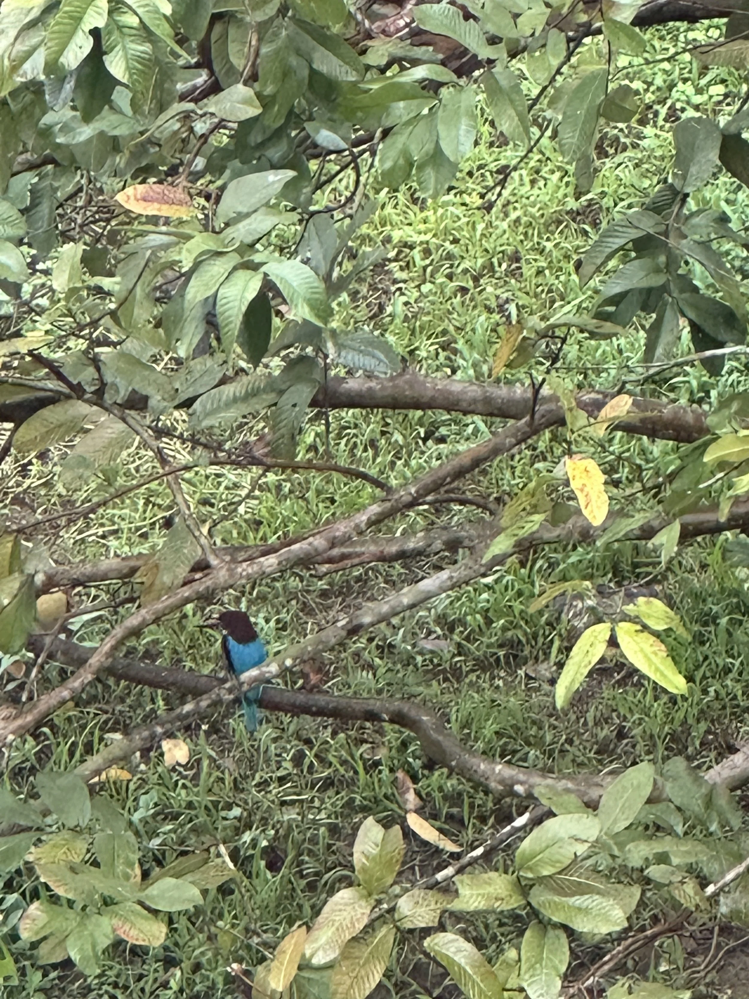 IMG_5562.jpeg