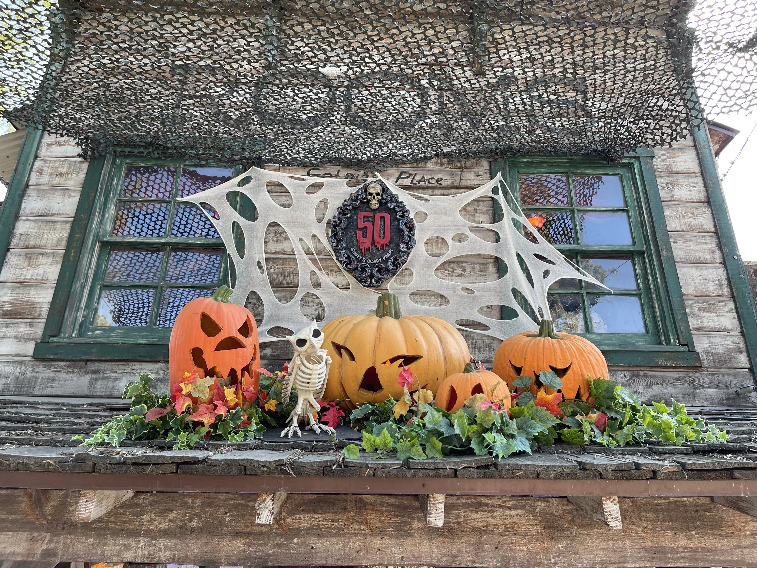 Fabricated Jack O' Lanterns, Pulldown Banners, Painted 50th Medallions, and Installed Scare Cloth 2022 and 2023