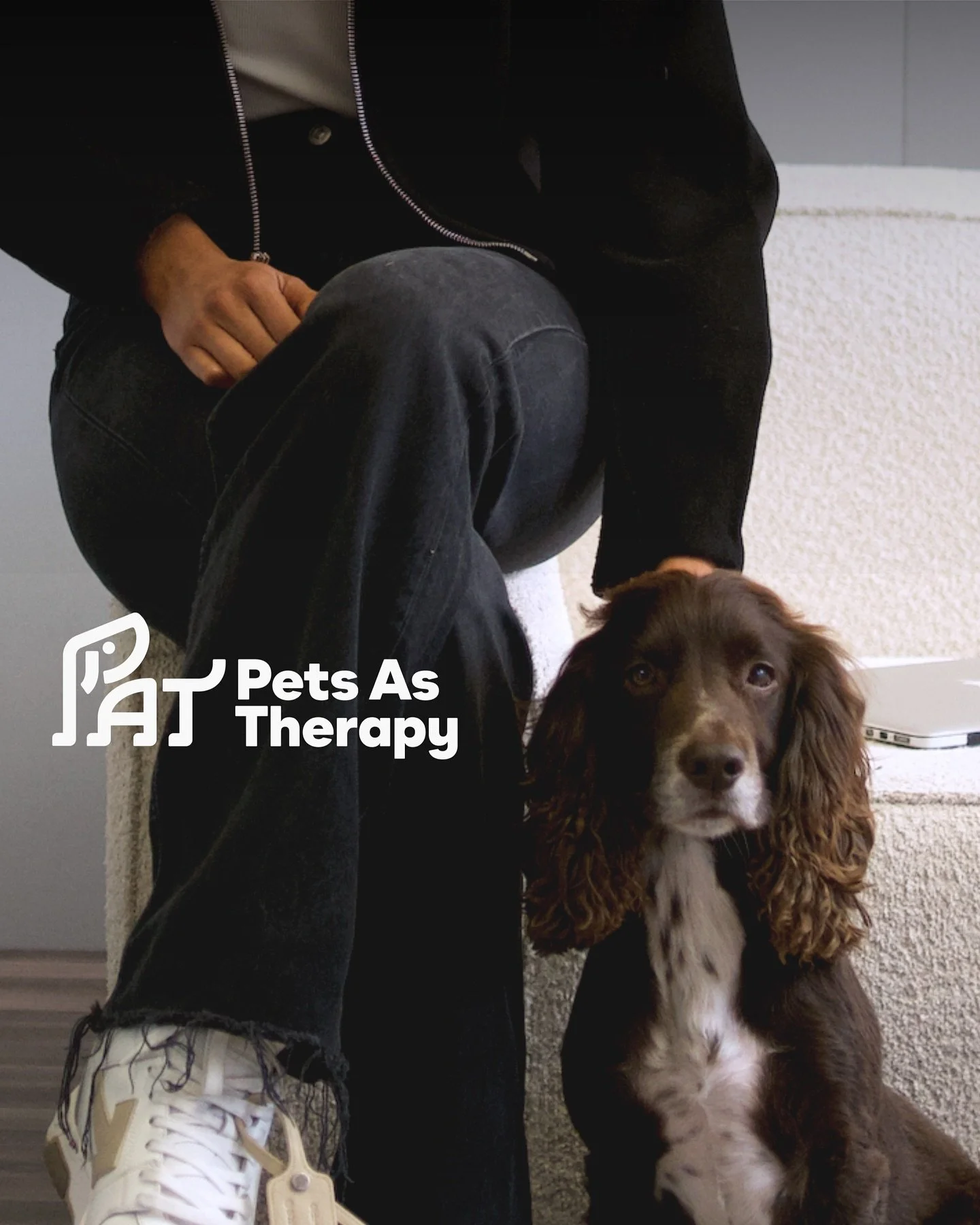 Brian and I are officially part of @petsastherapy_uk - a wonderful charity providing therapeutic pet visits to care homes, hospitals, schools and more. 

Animal-assisted visits have been shown to reduce anxiety, improve mood and support wellbeing, an