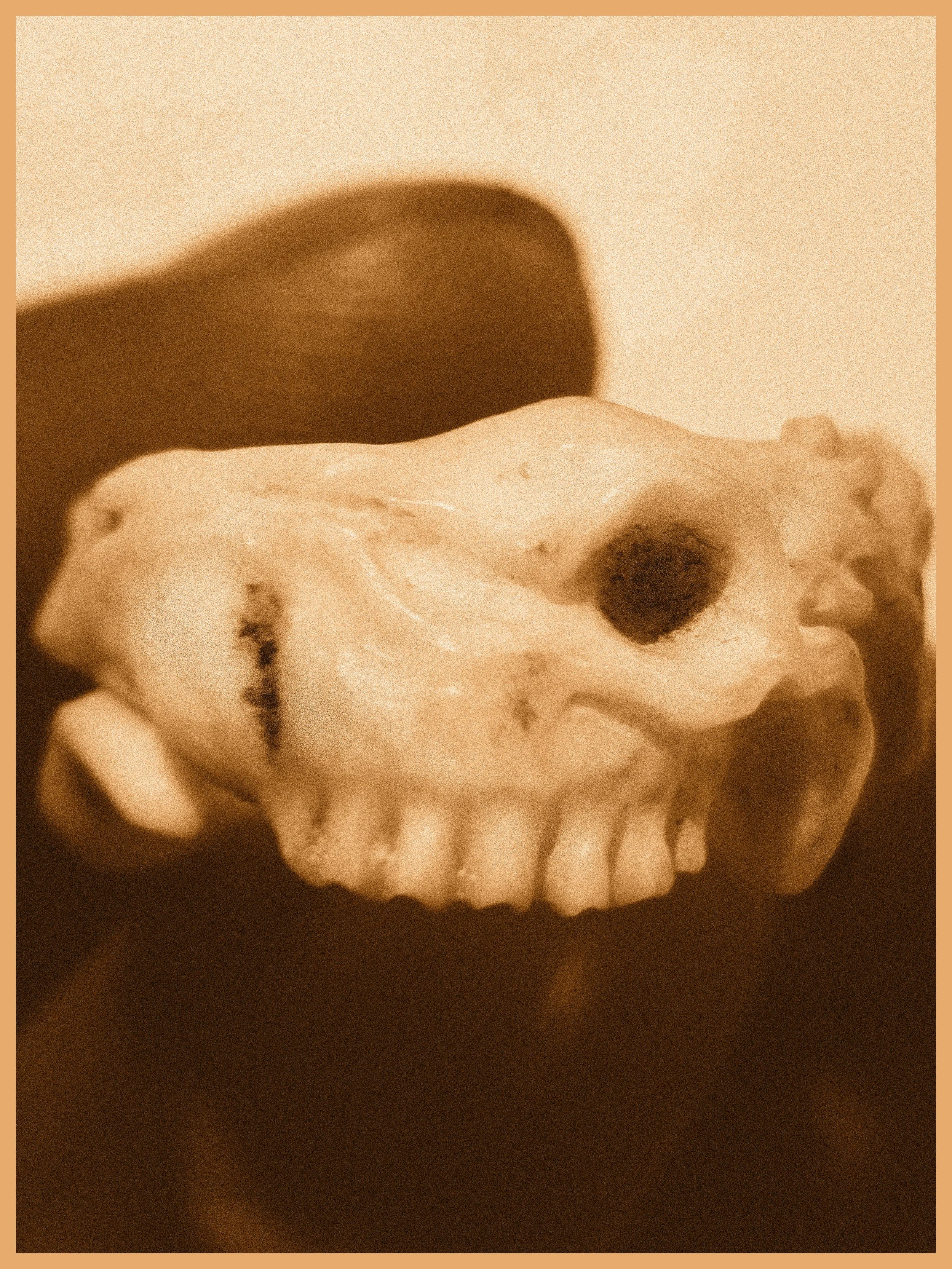 Skull Ring_V03.jpg