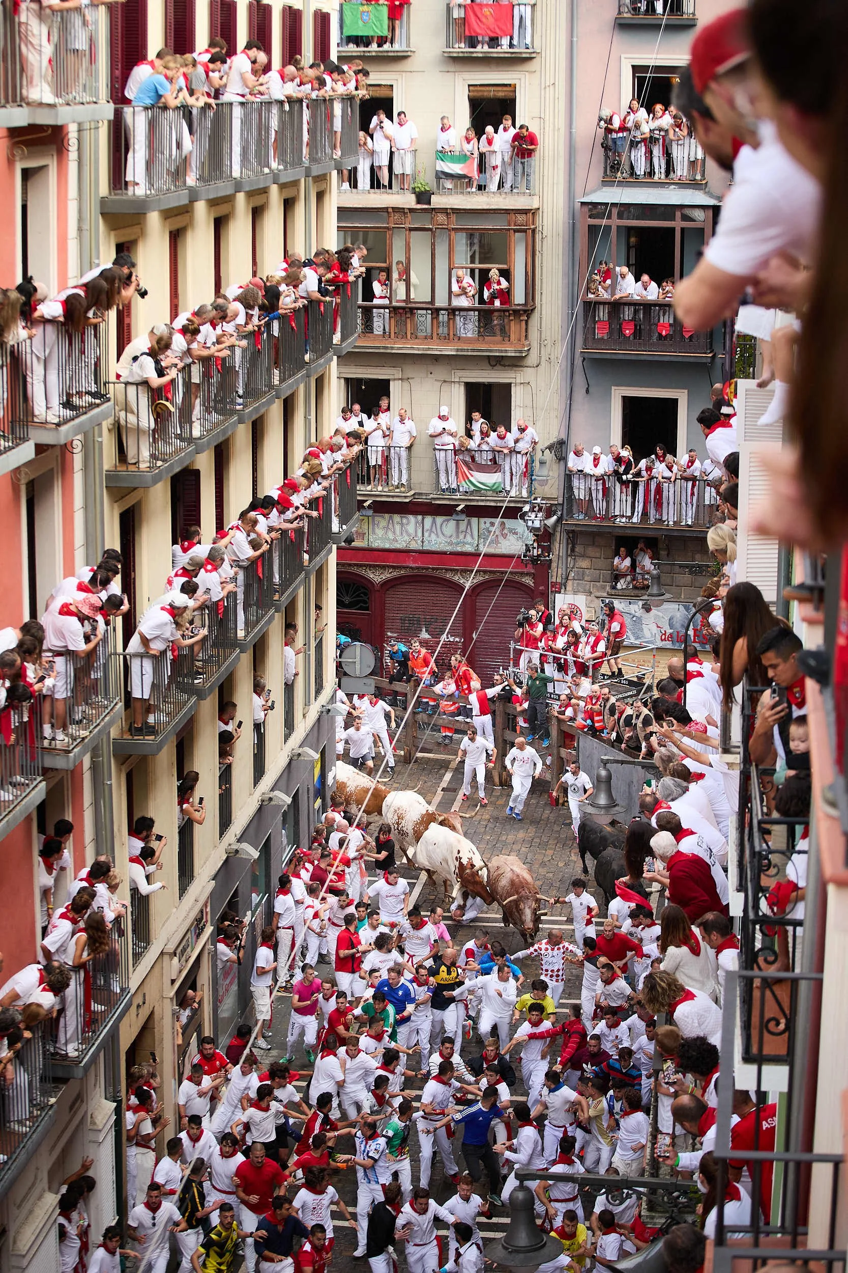 2507Running-of-the-bulls-san-fermin-pamplona-spain-James-Sturcke-0032.jpg