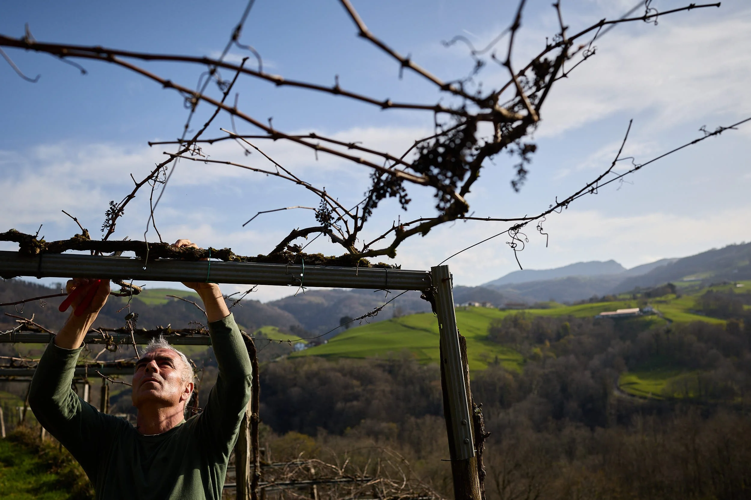 5/3/25 Aitor Irazu Alonso, Makatzak Wild Wines, Aia (Gipuzkoa), Basque Country, Spain. Photo by James Sturcke | sturcke.org