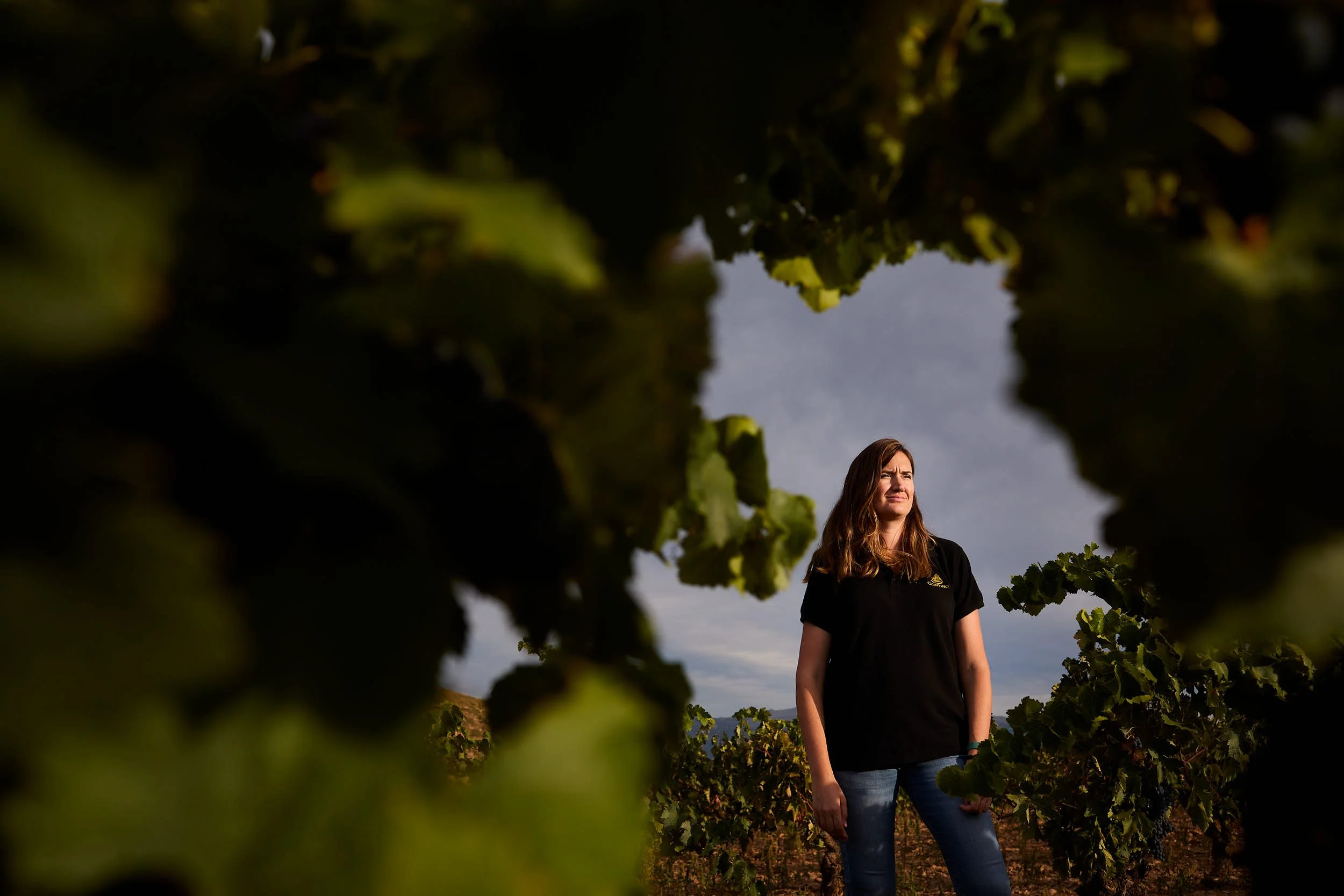 7/9/22 Irene Bonilla, Vendimia en Bodegas Contino, Laserna (Alava), Spain. Photo by James Sturcke | sturcke.org