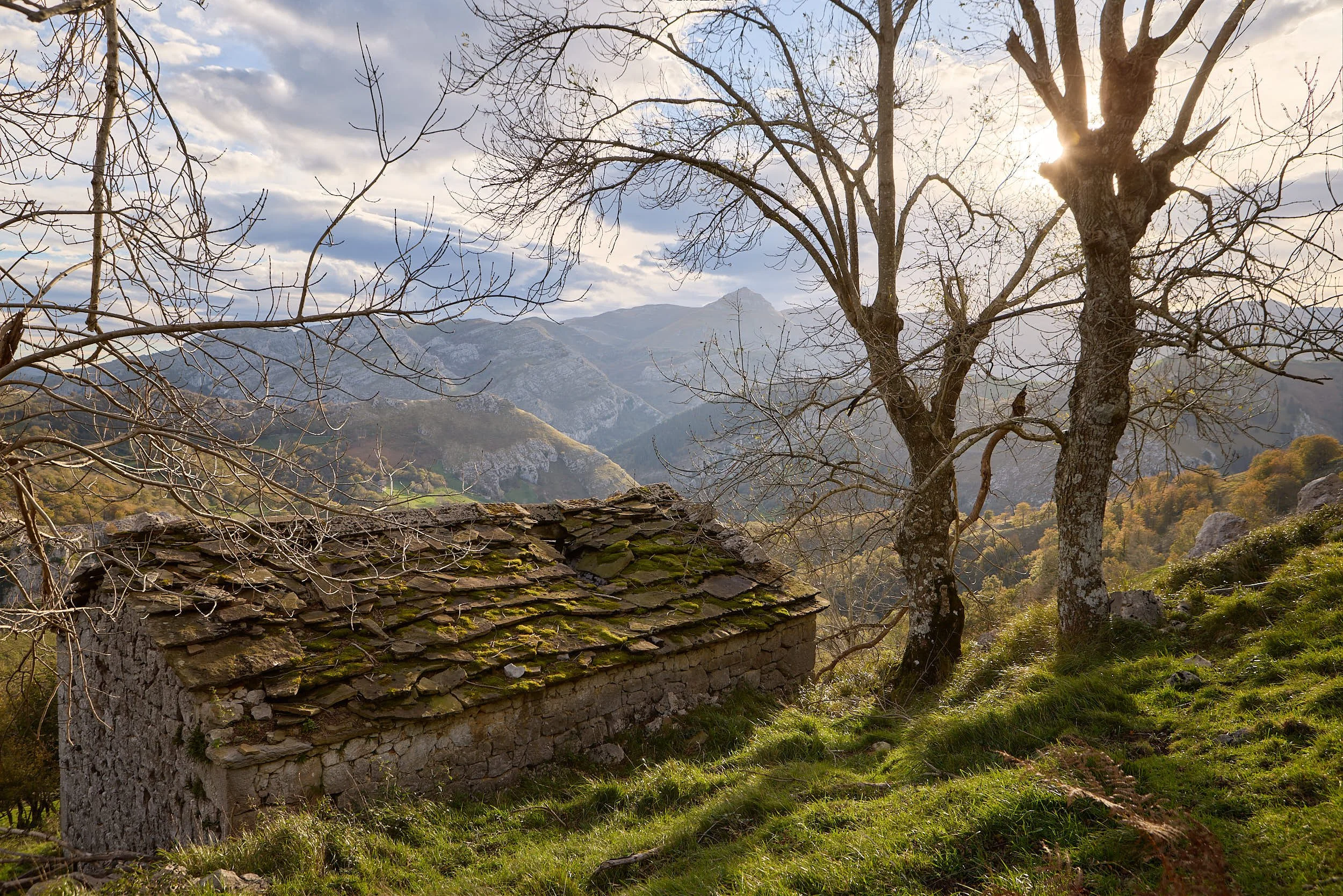 4/11/25 Wildway, San Roque de Riomiera (Cantabria), Spain. Photo by James Sturcke | sturcke.org