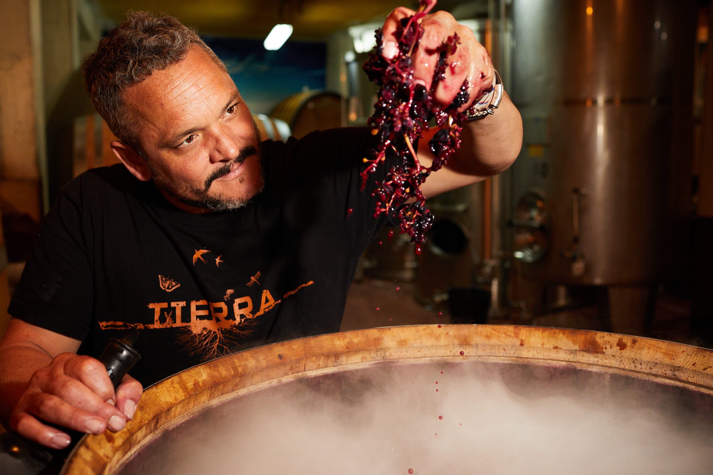29/9/19 Vendimia, Bodegas Tierra, Labastida (Alava), Pais Vasco, España. Foto de James Sturcke | sturcke.org
