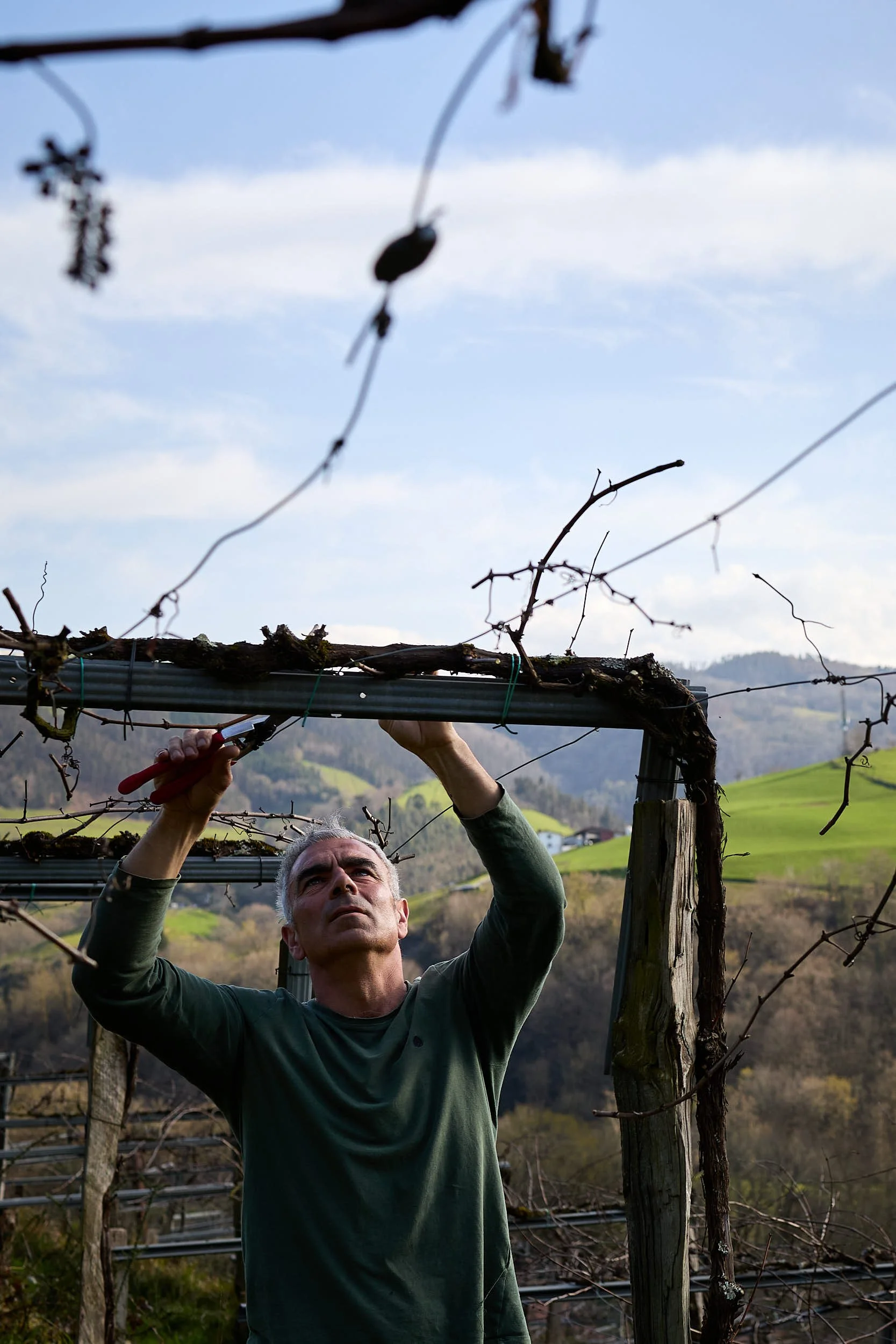 5/3/25 Aitor Irazu Alonso, Makatzak Wild Wines, Aia (Gipuzkoa), Basque Country, Spain. Photo by James Sturcke | sturcke.org