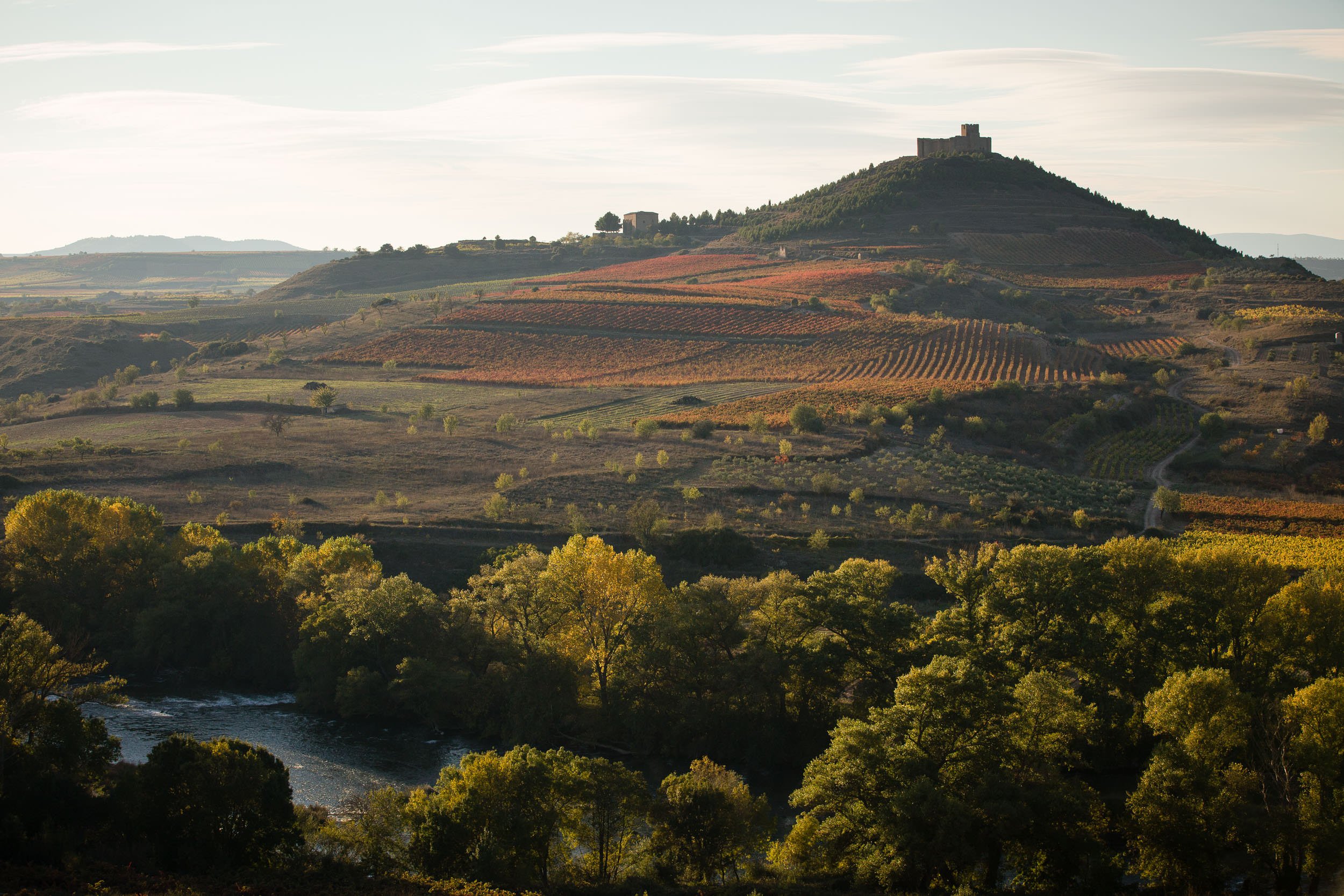 22/10/15 River Ebro and Davalillo castle among vineyards, La Rioja, Spain. Photo by James Sturcke | sturcke.org