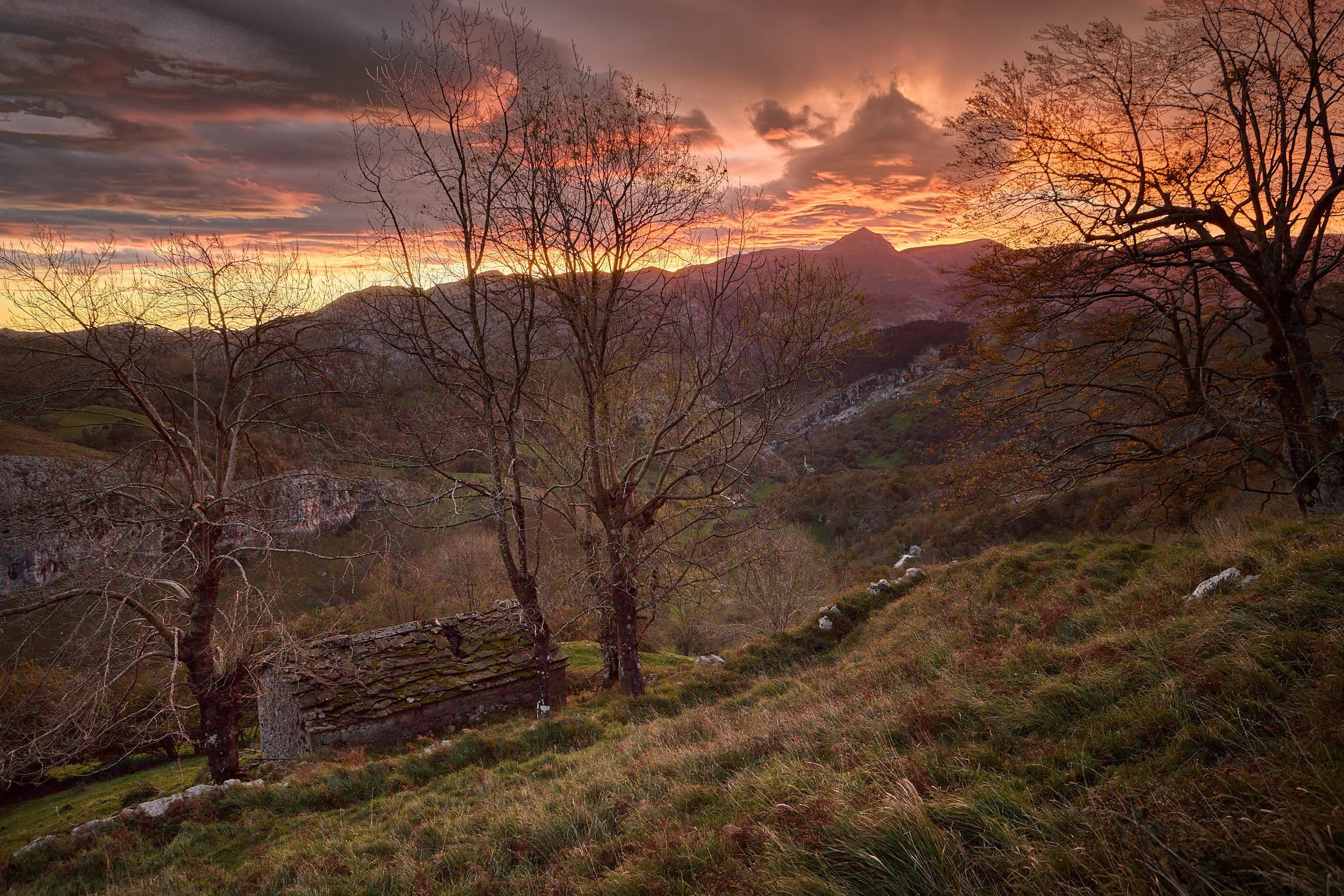 4/11/25 Wildway, San Roque de Riomiera (Cantabria), Spain. Photo by James Sturcke | sturcke.org