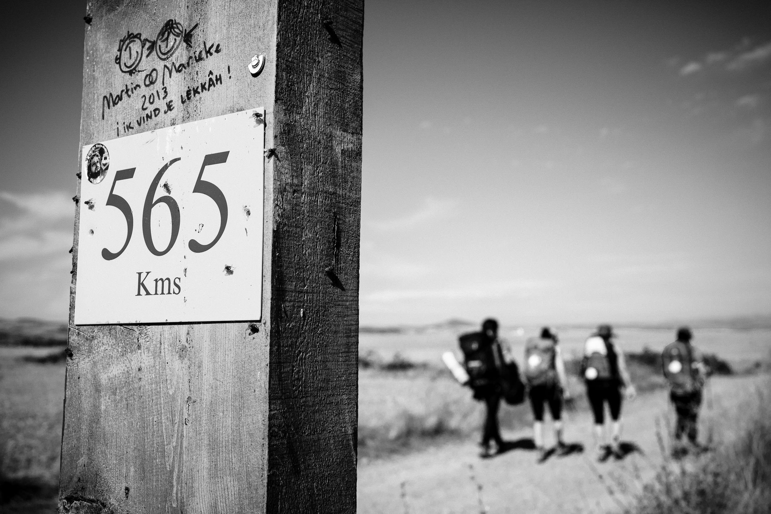 09/13/14 Pilgrims on the Camino de Santiago near Santo Domingo de la Calzada, La Rioja, Spain. Photo @ James Sturcke | sturcke.org