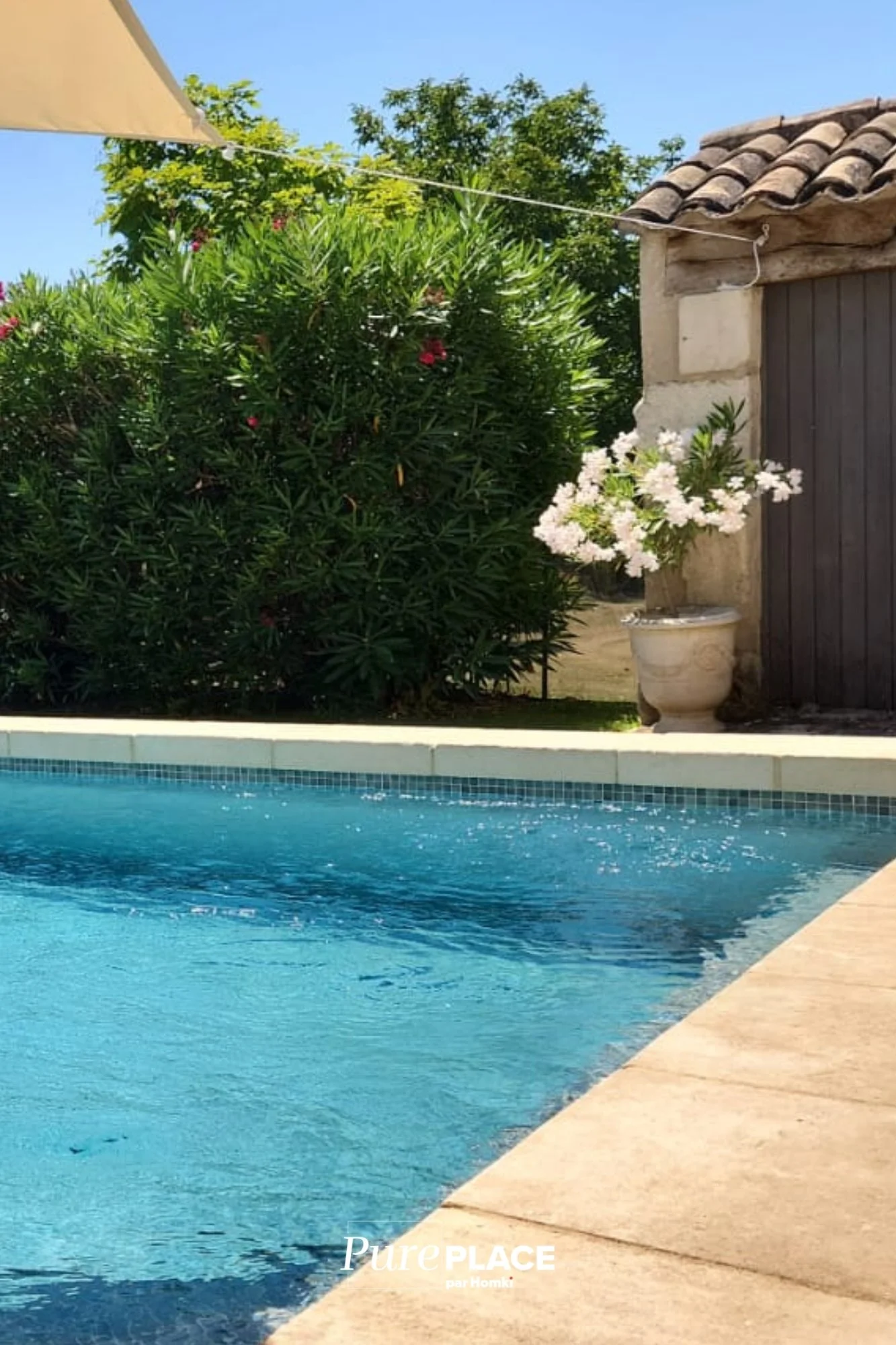 Photo vertical (Guillaume) Pure place (18).jpg