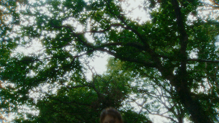 Coach Party - F.L.A.G