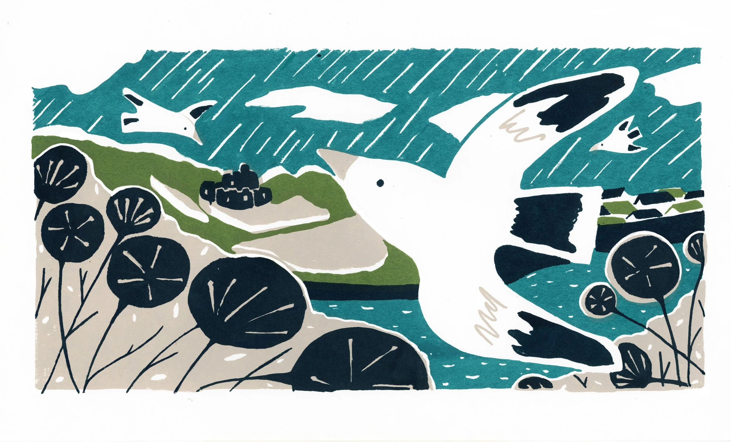 Imagined Brief. Website banner for Seasalt Cornwall. Screen print.