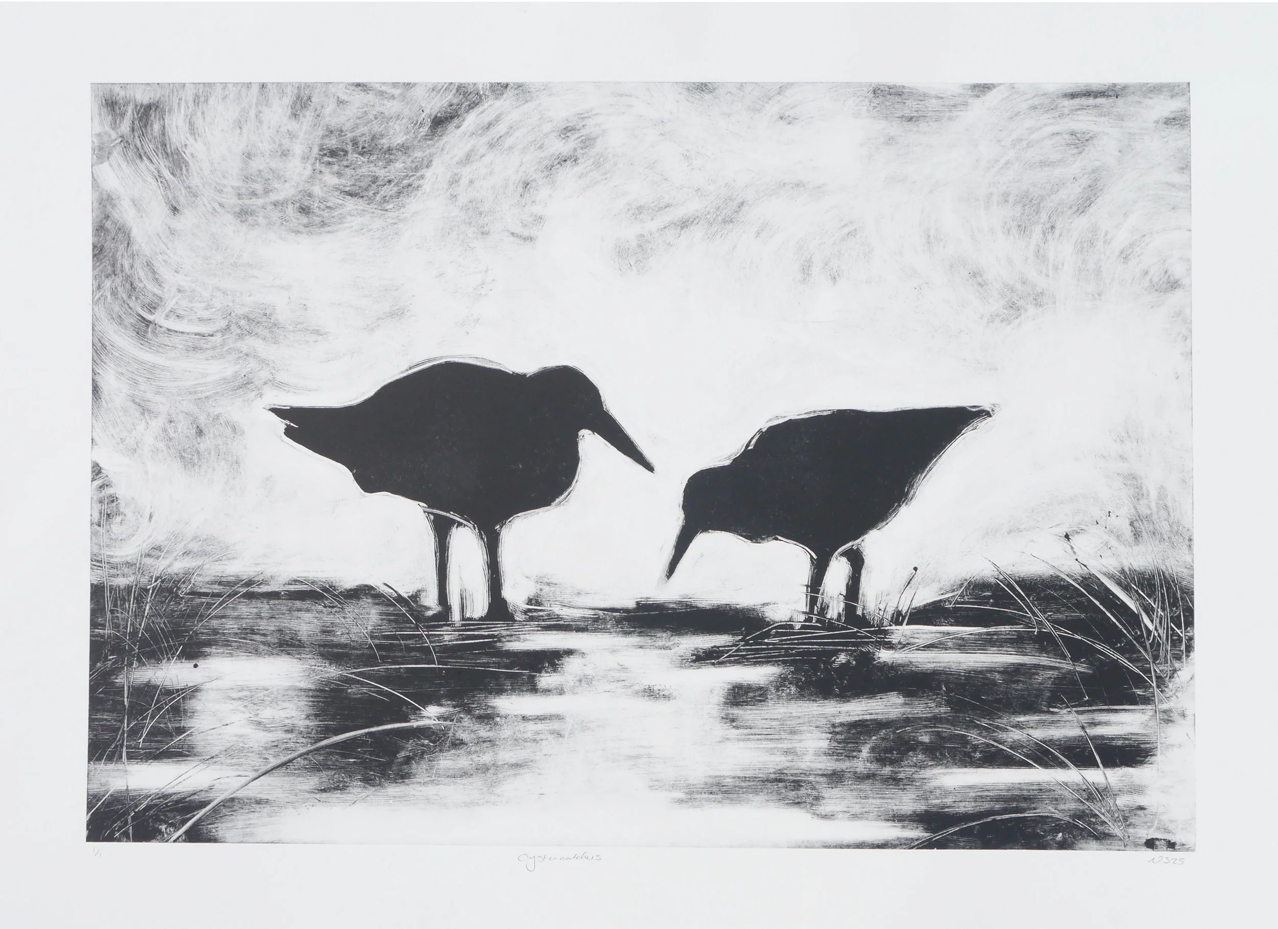 Oystercatchers 70x50.jpg