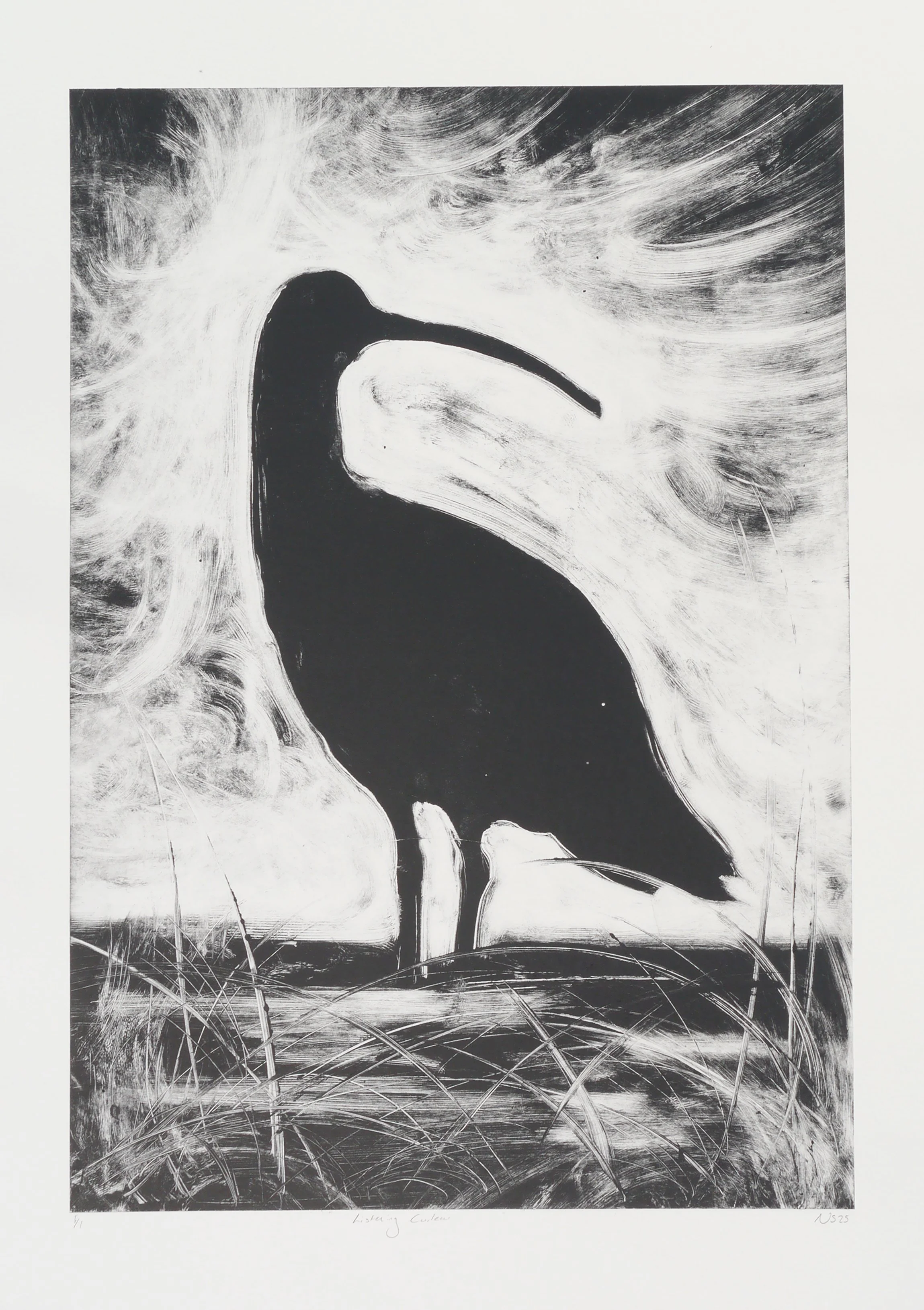 Listening curlew 50x70.jpg