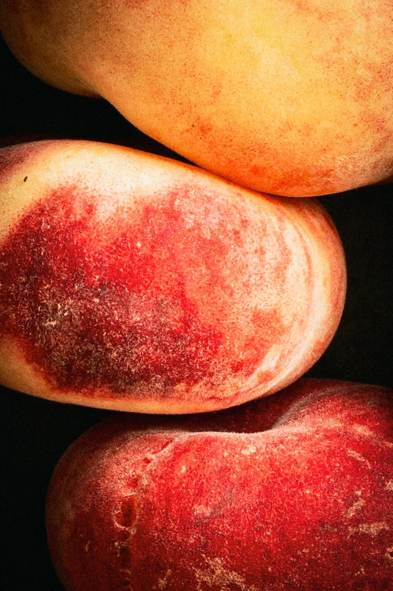 Close-up of three peaches with one showing red blush, fuzzy skin, and natural blemishes against a black background.