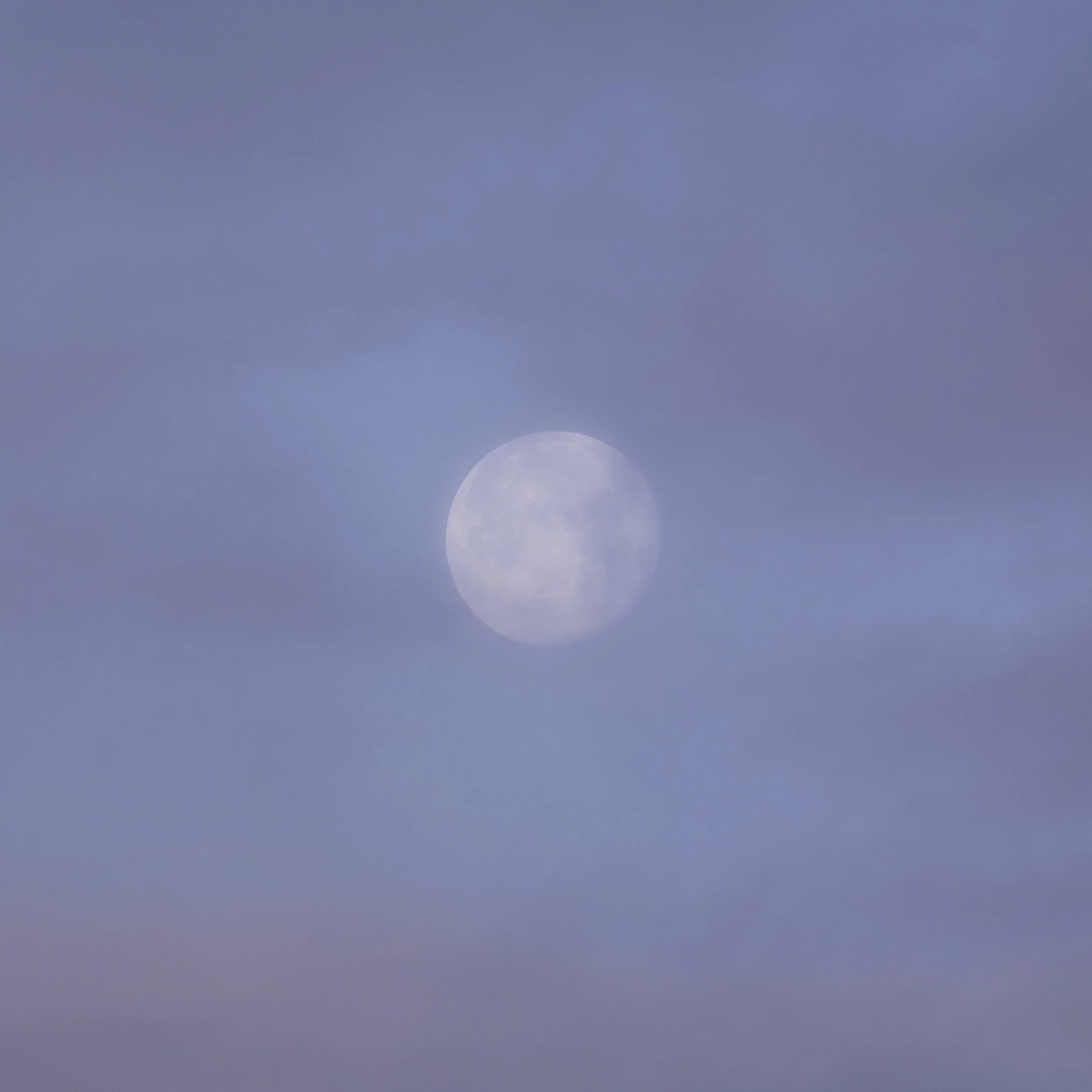 2Q9A9368.jpg