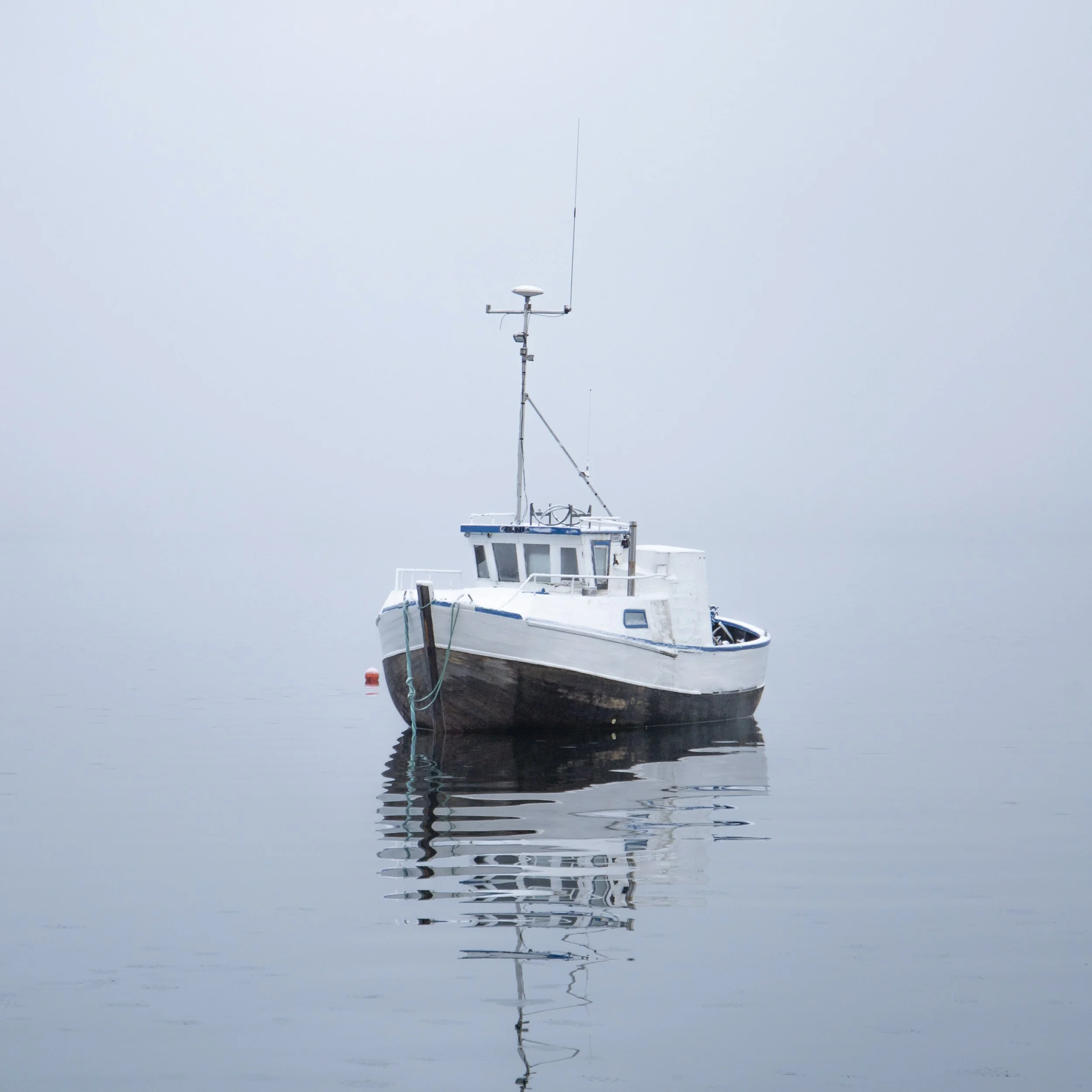 IMG_9894.jpg