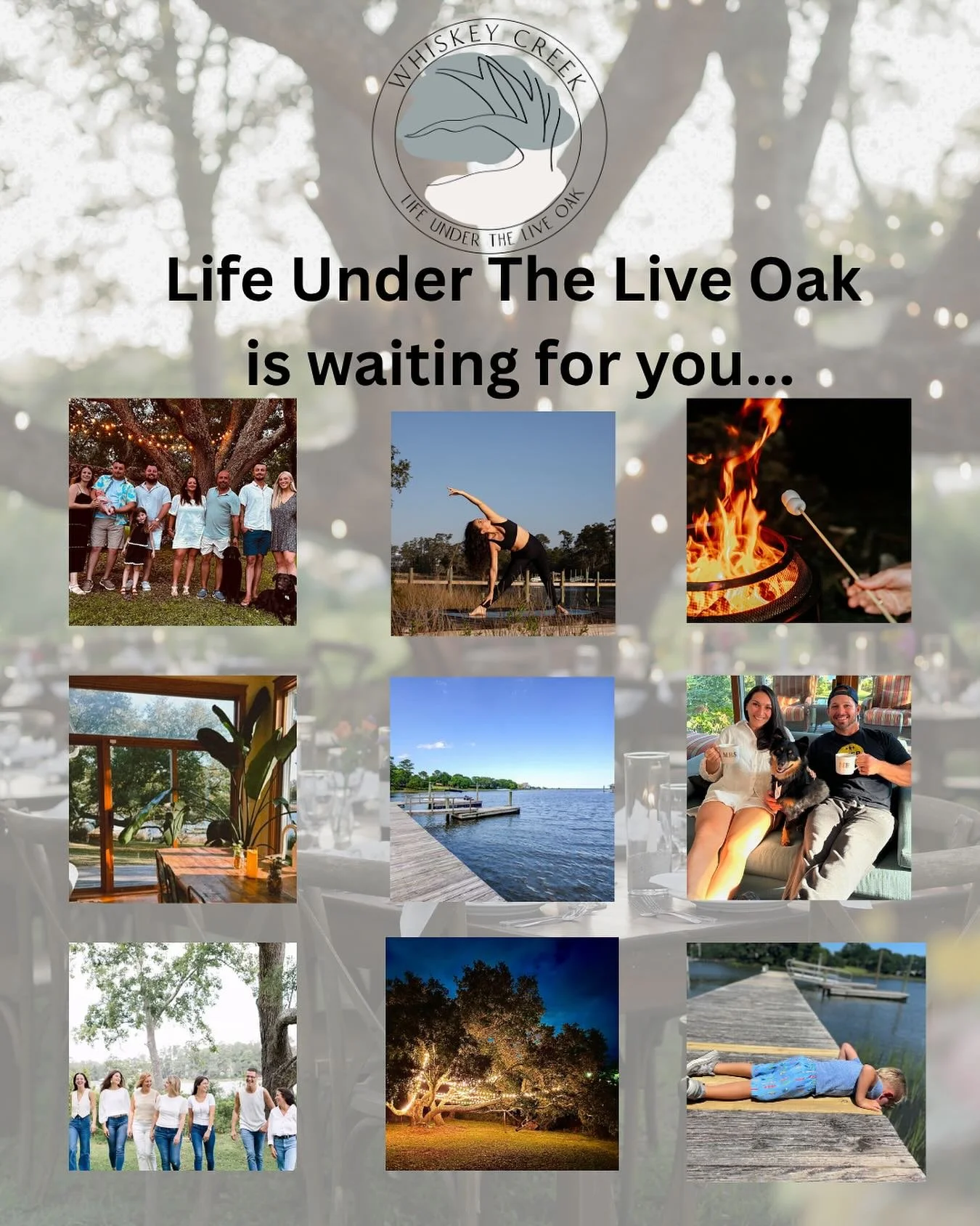 Whiskey Creek offers something for everyone.  Whether you are looking to have a couples weekend, family reunion or wanting to plan a special gathering for your small groups, Life Under The Live Oak is waiting for you&hellip;
 
Booking details &ndash;