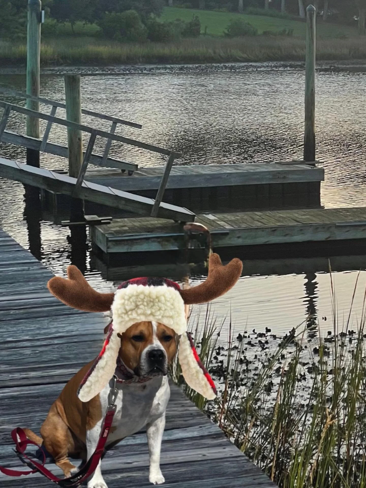 From all of us at Whiskey Creek, we are wishing you and yours a safe and Happy Thanksgiving.