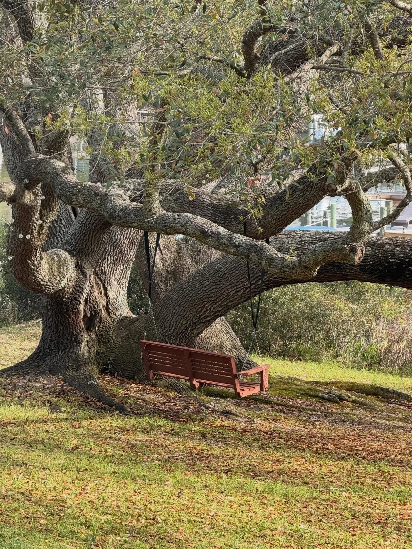 Whiskey Creek is always better when you are together with friends and family. 

The home sleeps up to 15, dog friendly, and has tons of open space for everyone to enjoy. 

Link in bio.