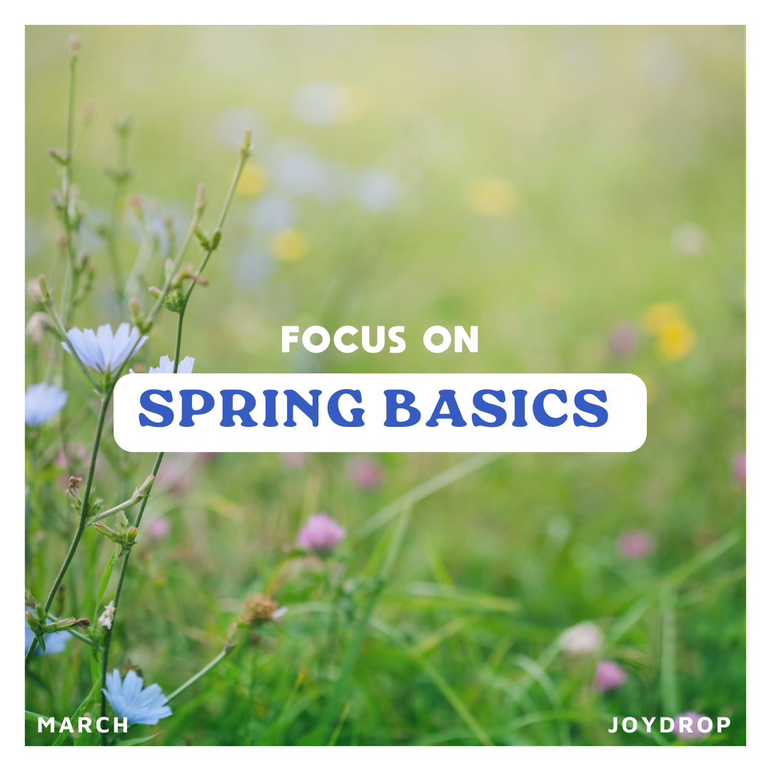 SPRING BASICS