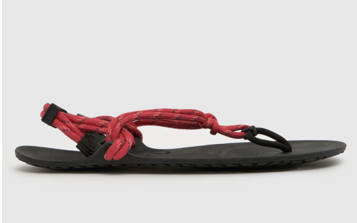 Schuh