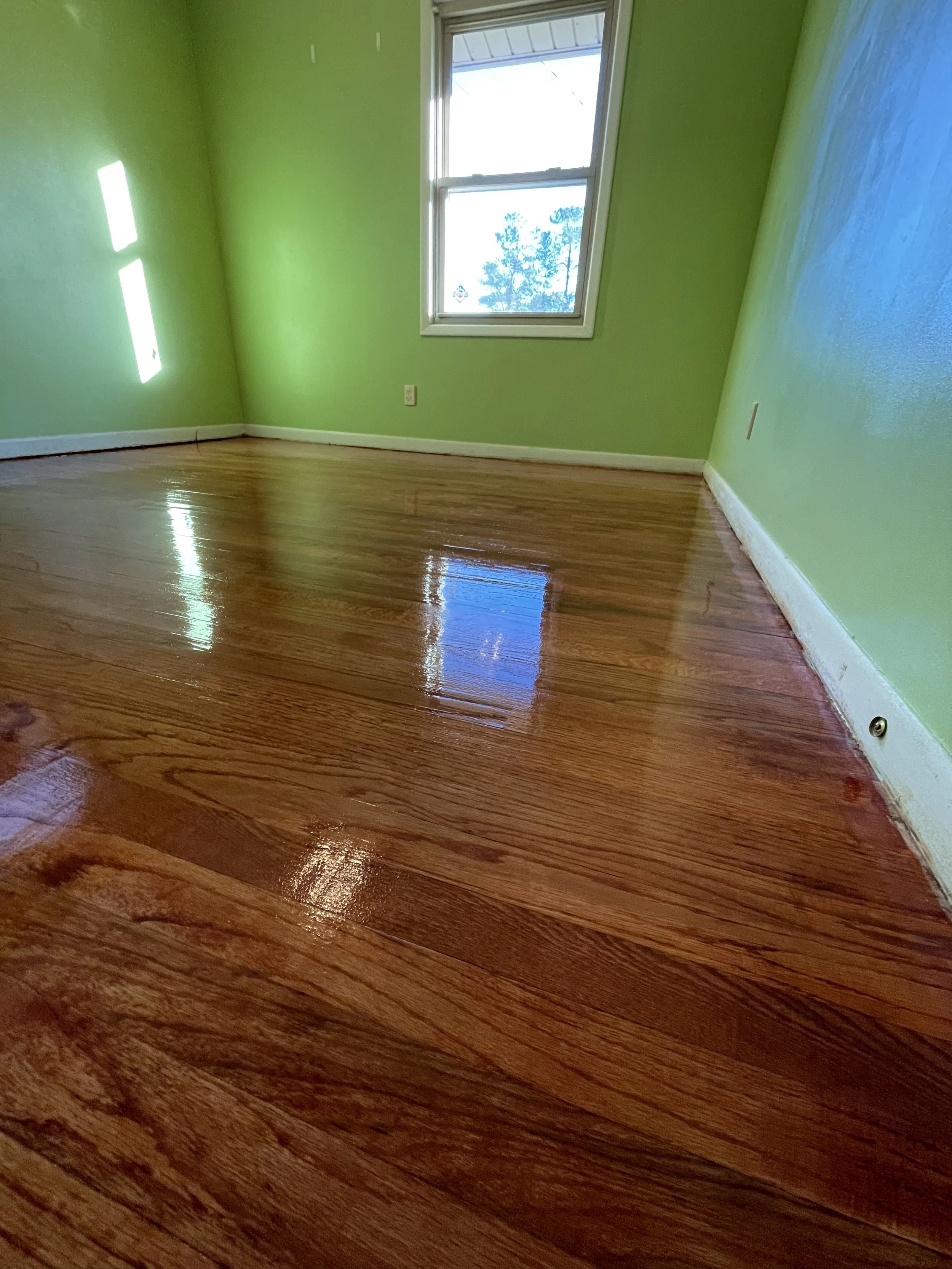 Empty room with bright green walls, hardwood flooring, a window showing trees outside, and natural sunlight streaming in.