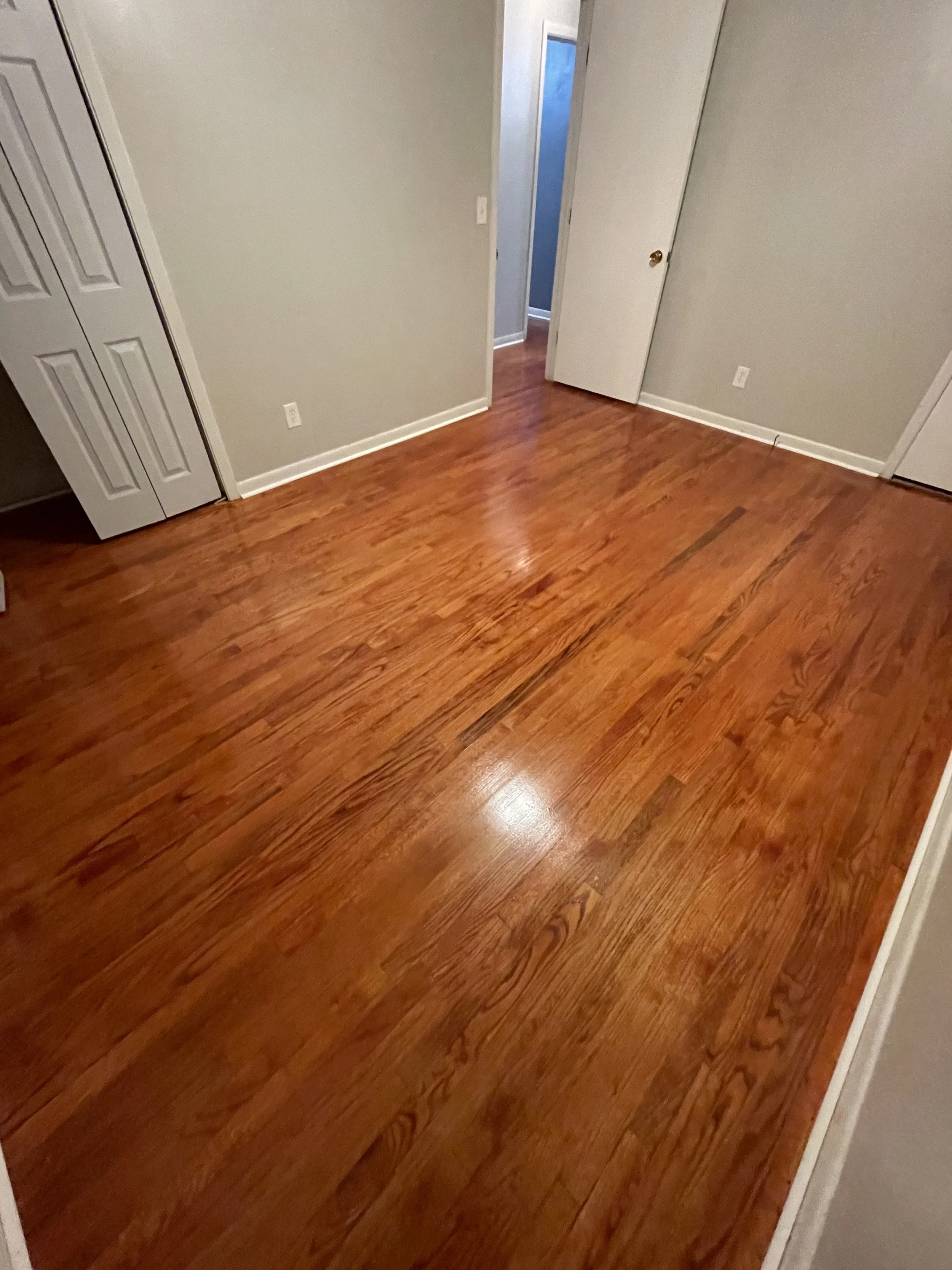 Empty room with wooden floor, beige walls, open closet, and doorway.