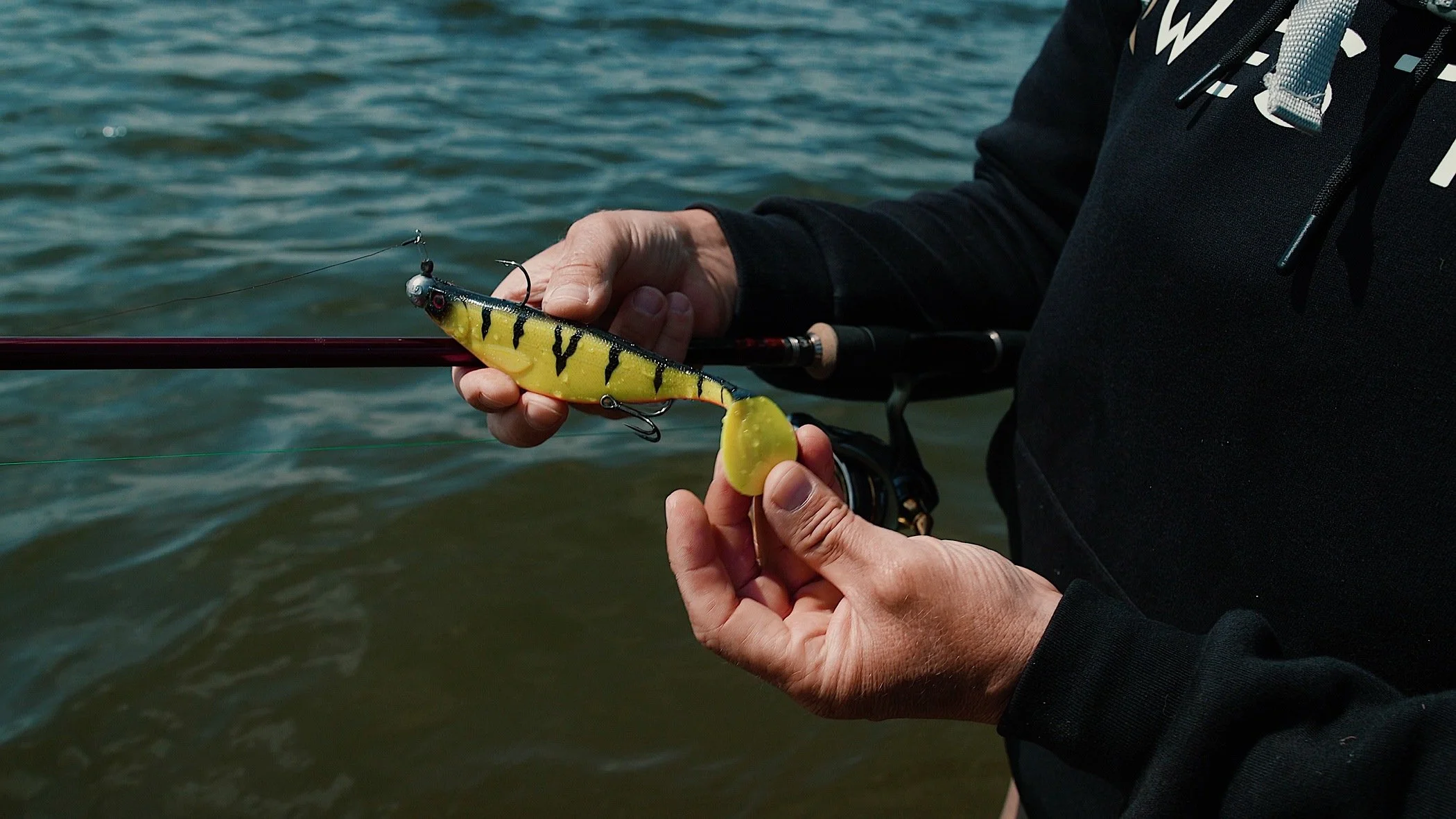 DIDI BAGGERLOCH Clip 9jj.jpg